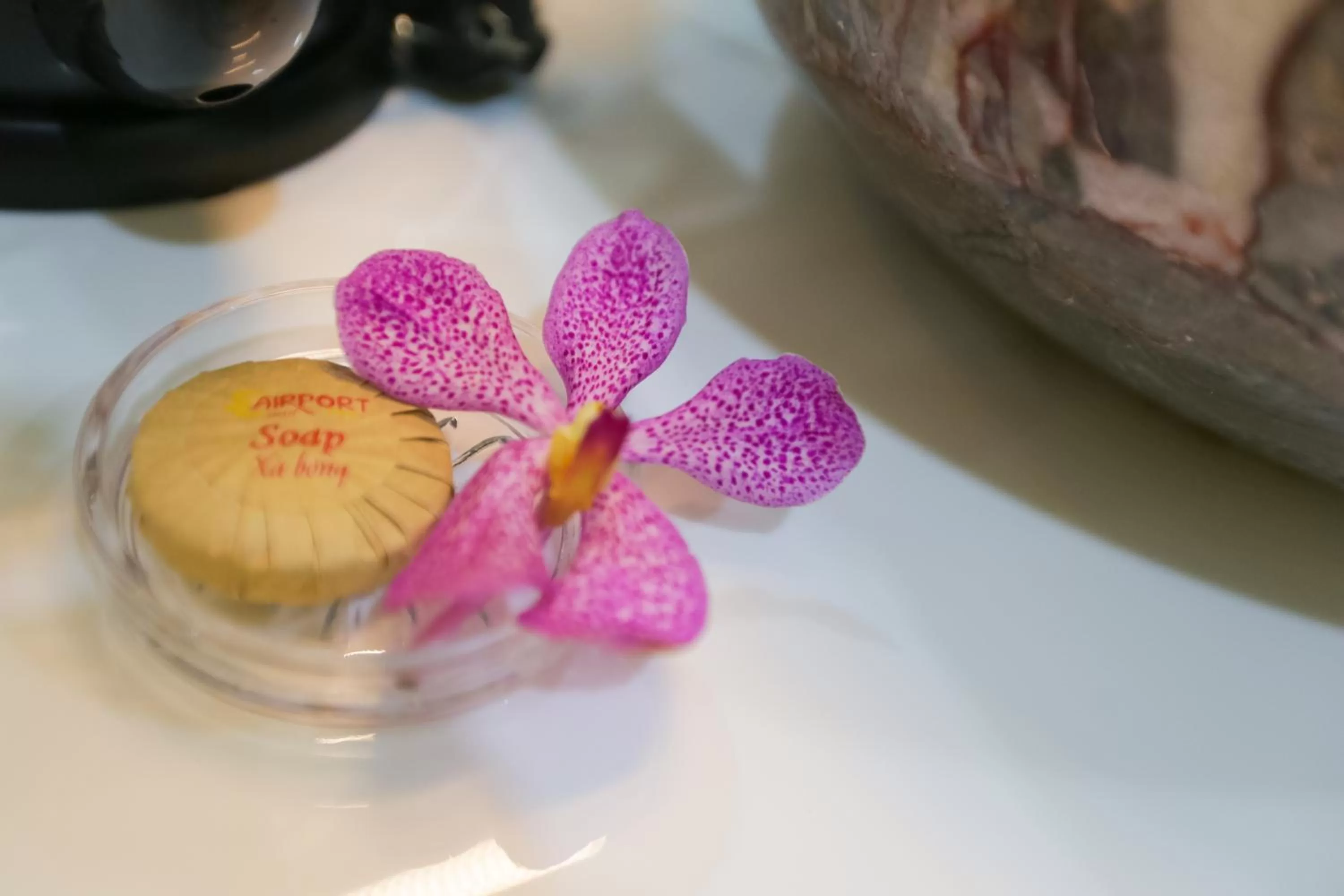 Other in The Airport Hotel