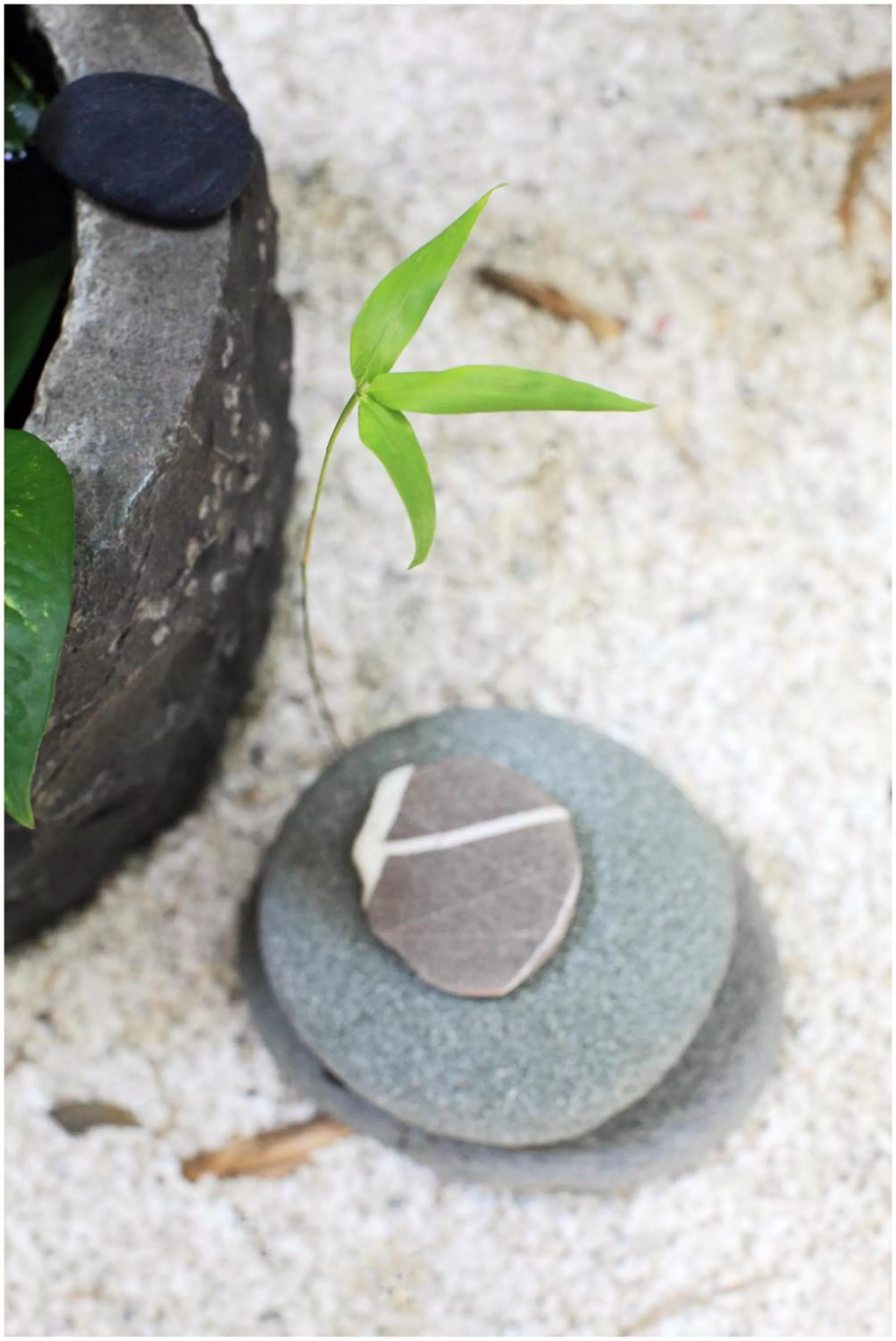 Decorative detail in Errantry Lodge & Studio