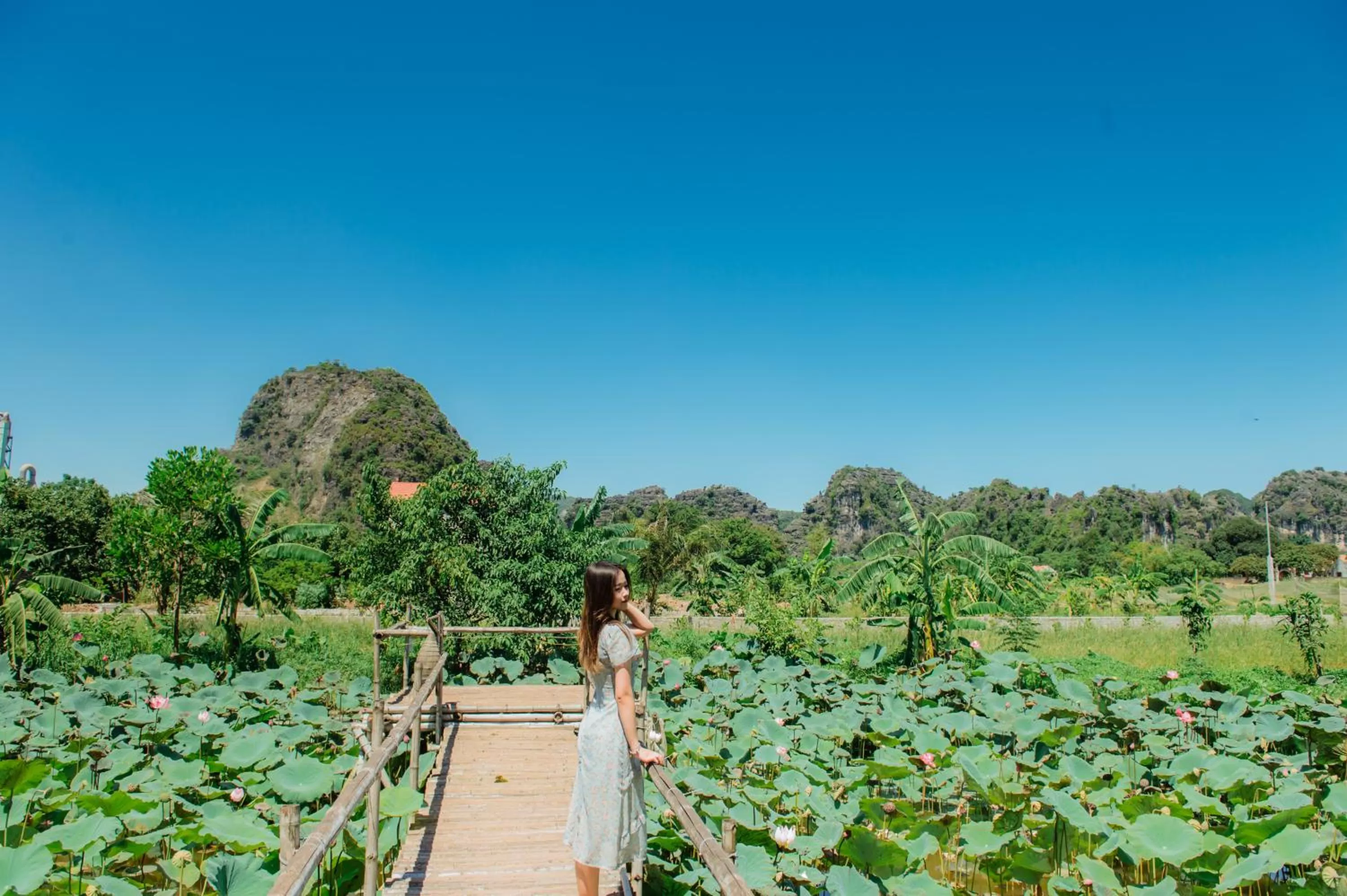 Natural landscape in Nan House - Tam Coc