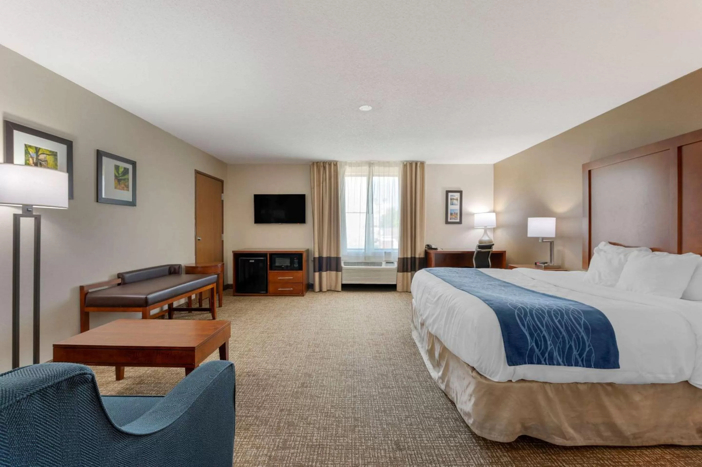 Photo of the whole room, Bed in Comfort Inn Anderson South