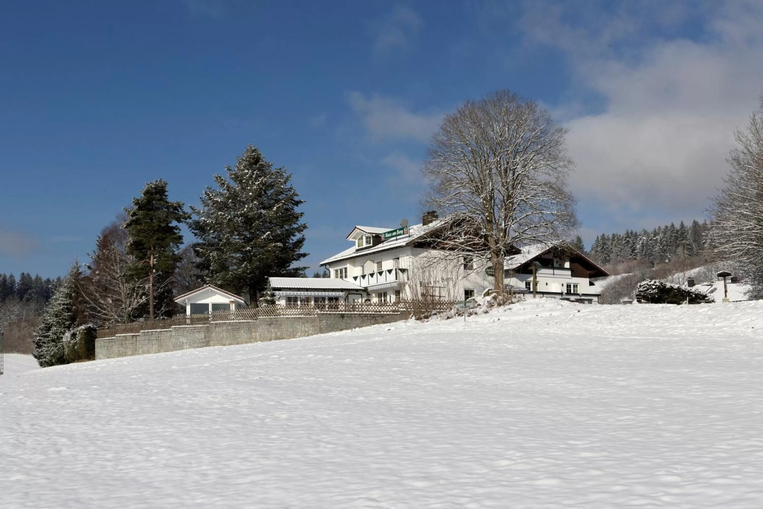 Facade/entrance, Winter in Hotel "Haus am Berg"