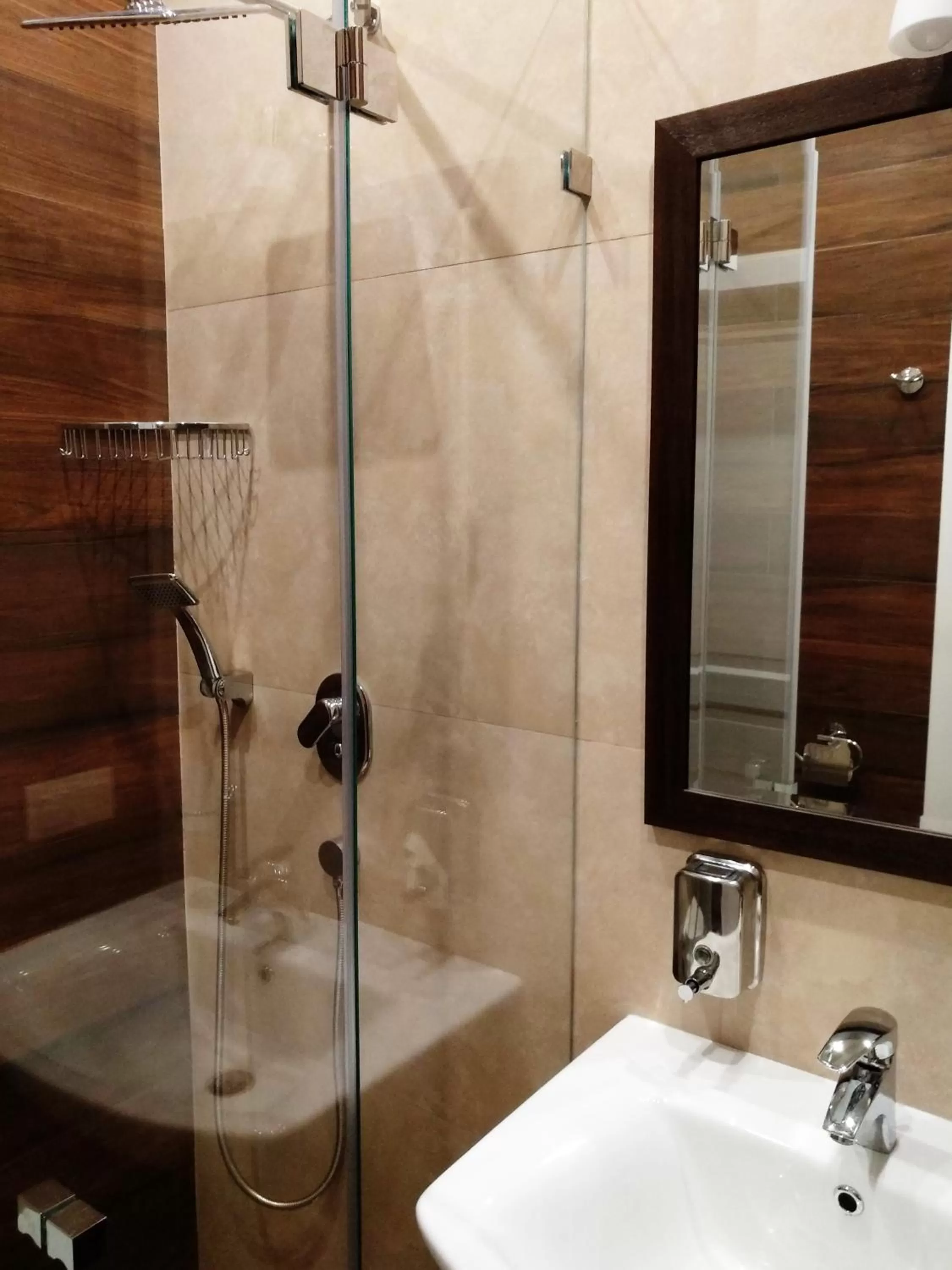 Shower, Bathroom in Belokorichi