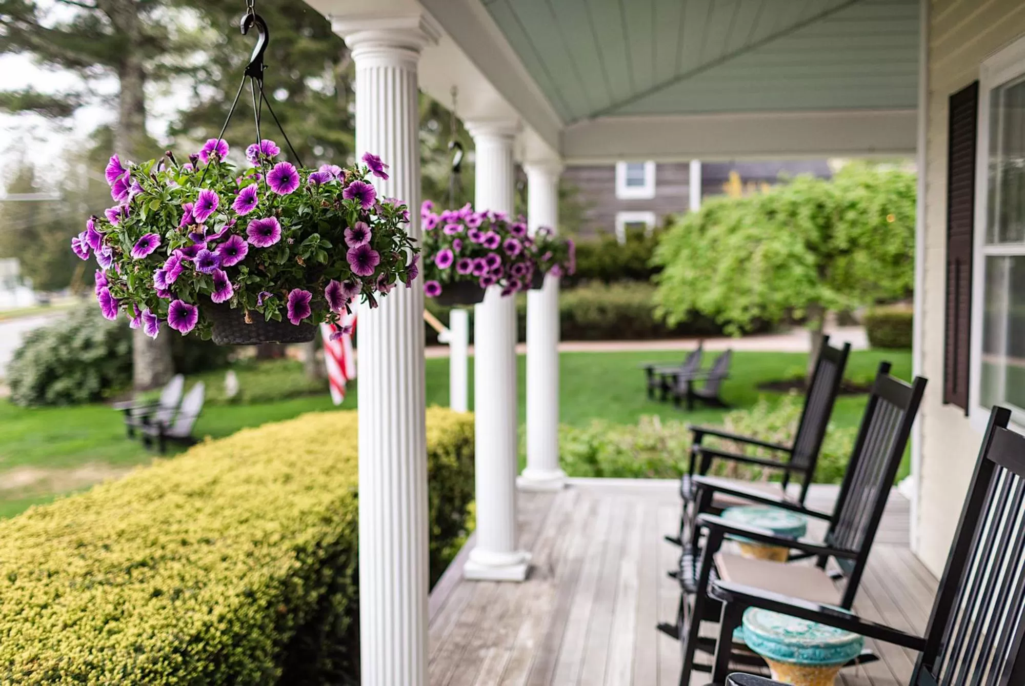 Garden view in Spouter Inn Bed & Breakfast