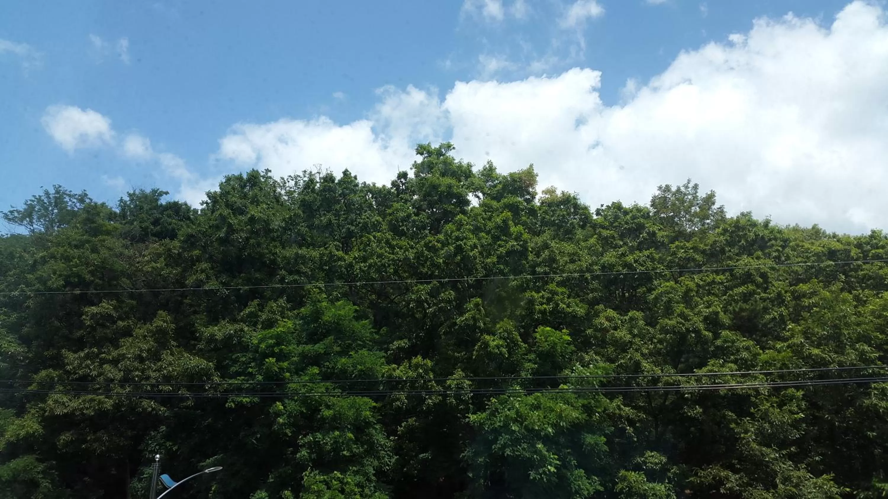 Saipan Motel with Sea View