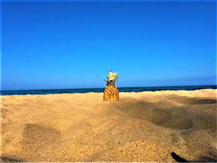 Day in Gold Coast Family Cottages