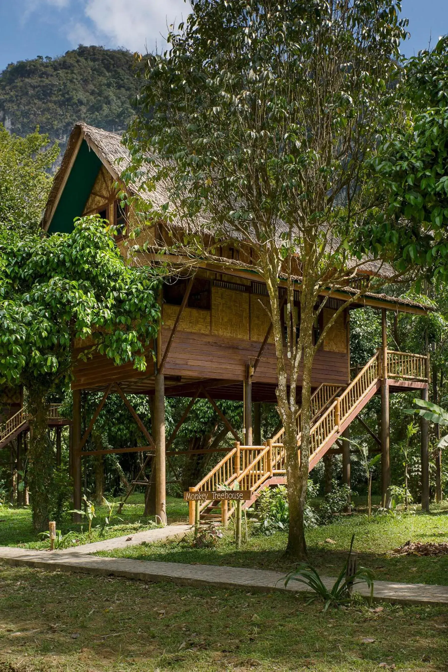 2 - Story Treehouse in Our Jungle Camp - Eco Resort 2 - Story Treehouse in Our Jungle Camp - Eco Resort