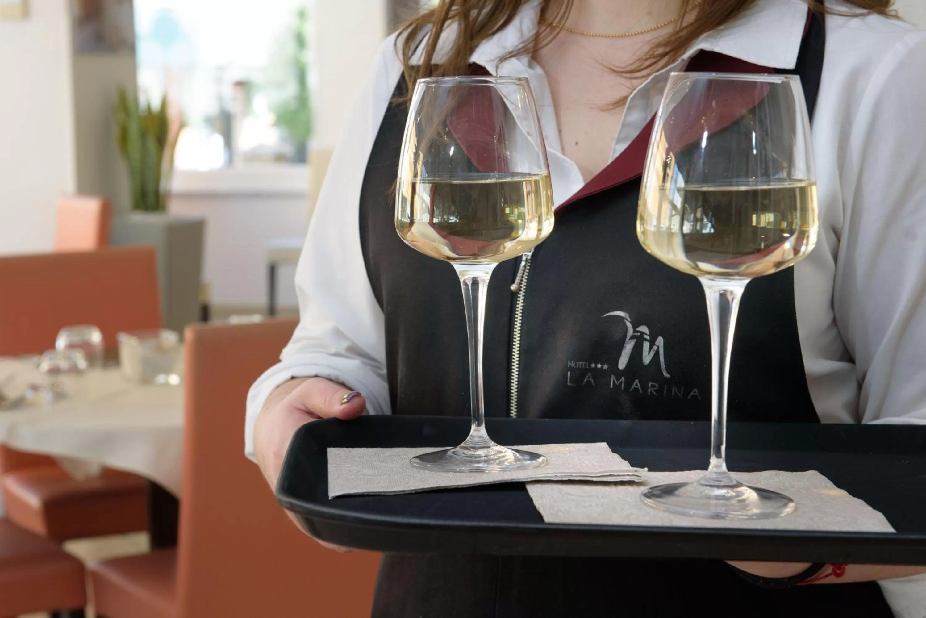 Alcoholic drinks in Hotel Ristorante La Marina Mhotelsgroup