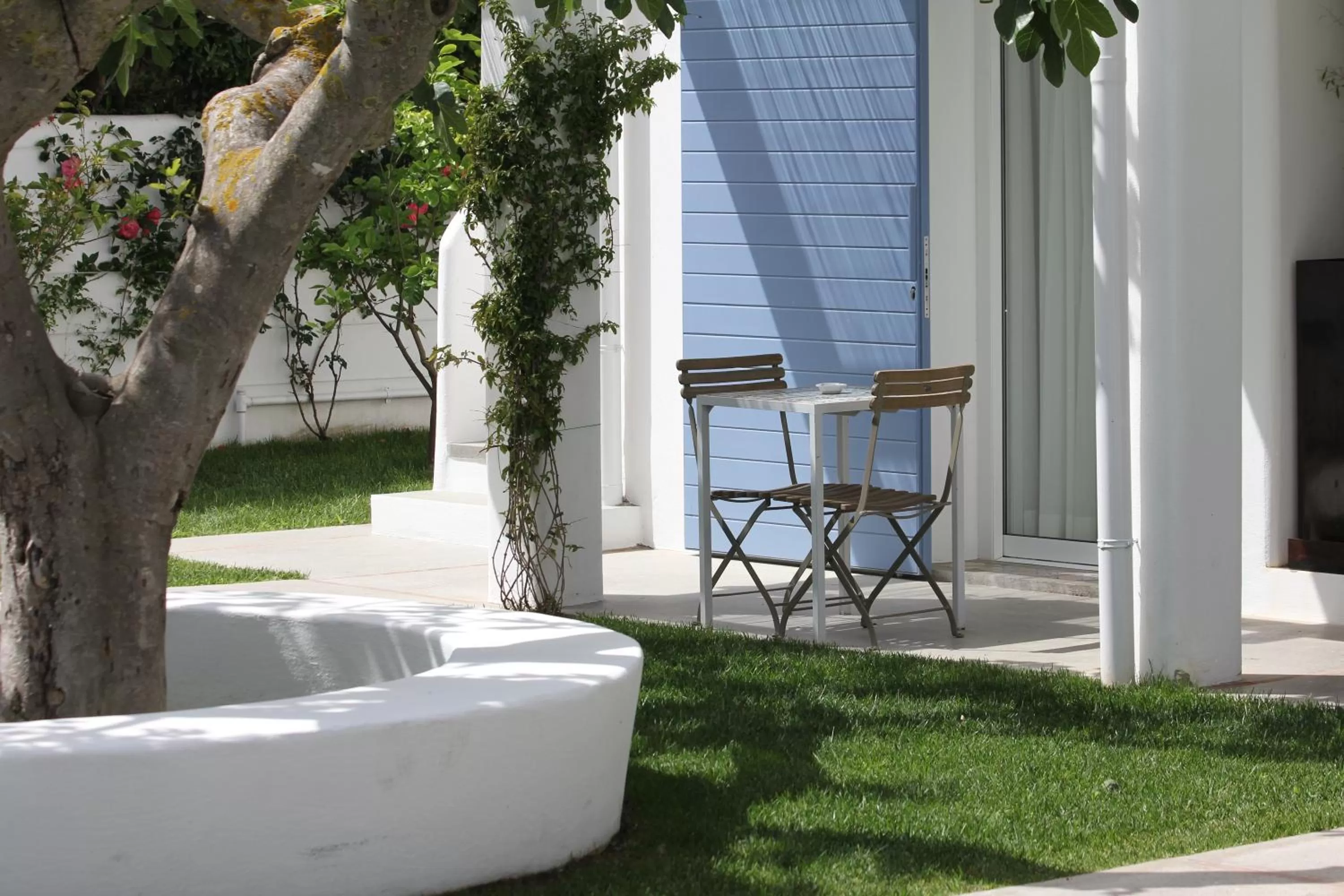 Garden view in Hotel Intorno Al Fico