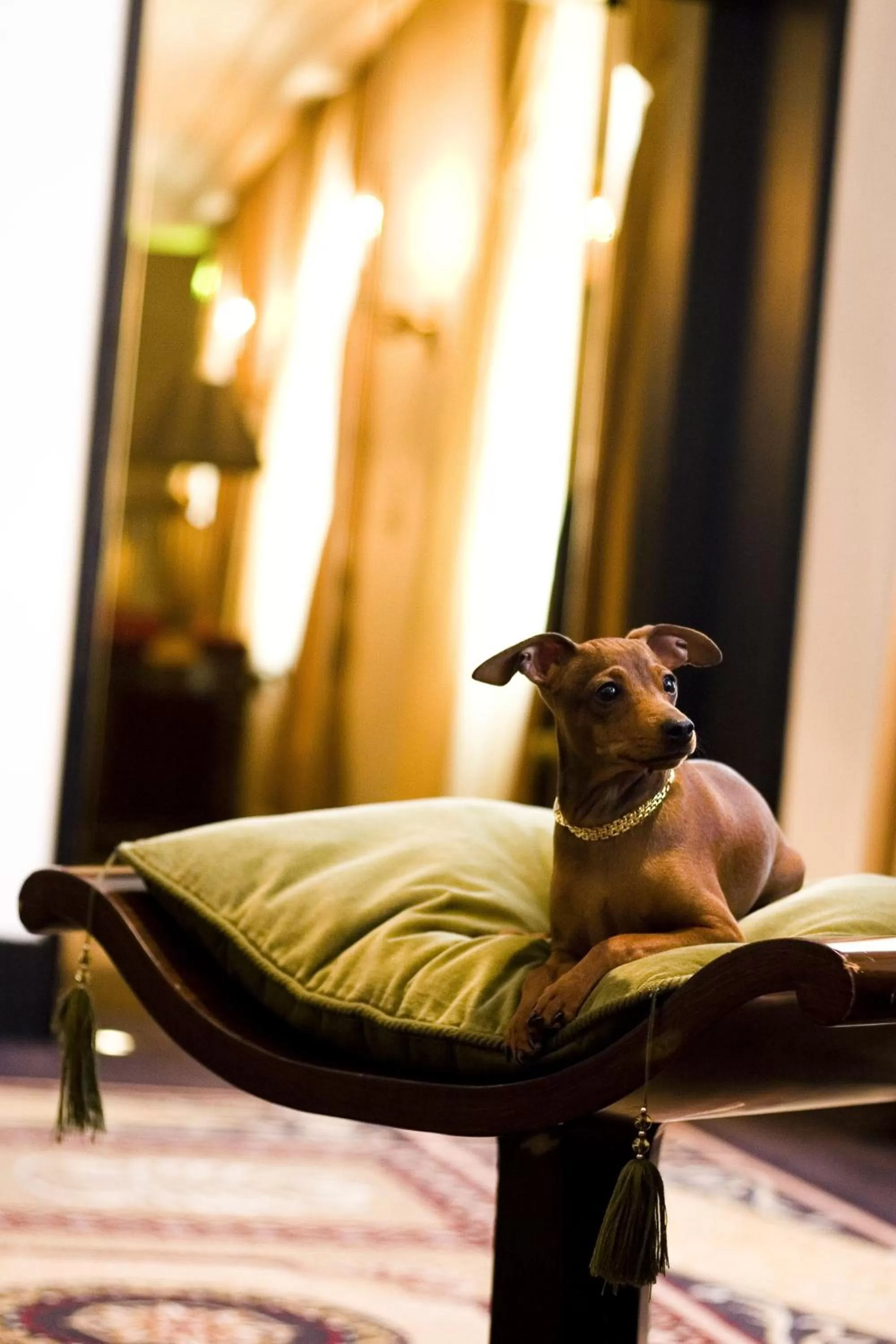 Other in Esplanade Zagreb Hotel