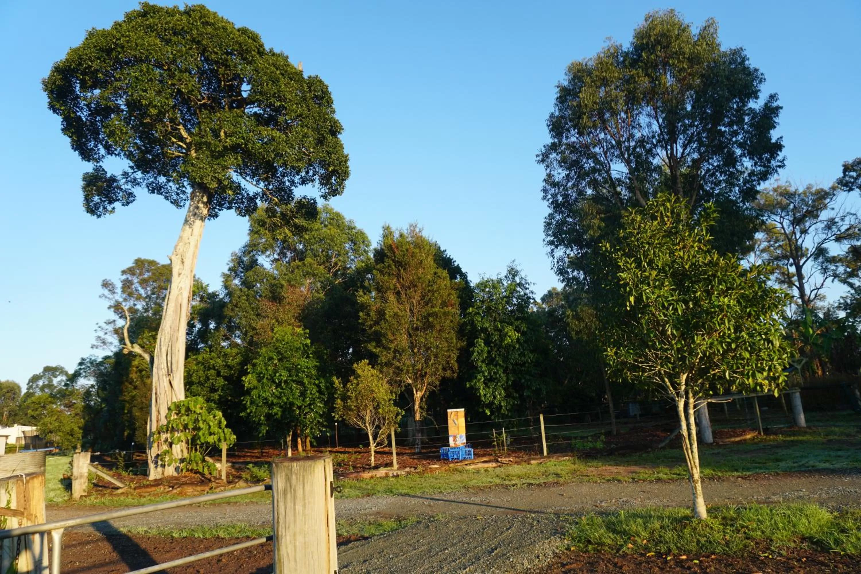 Spring in Narangba Motel (formerly Brisbane North B&B and Winery)