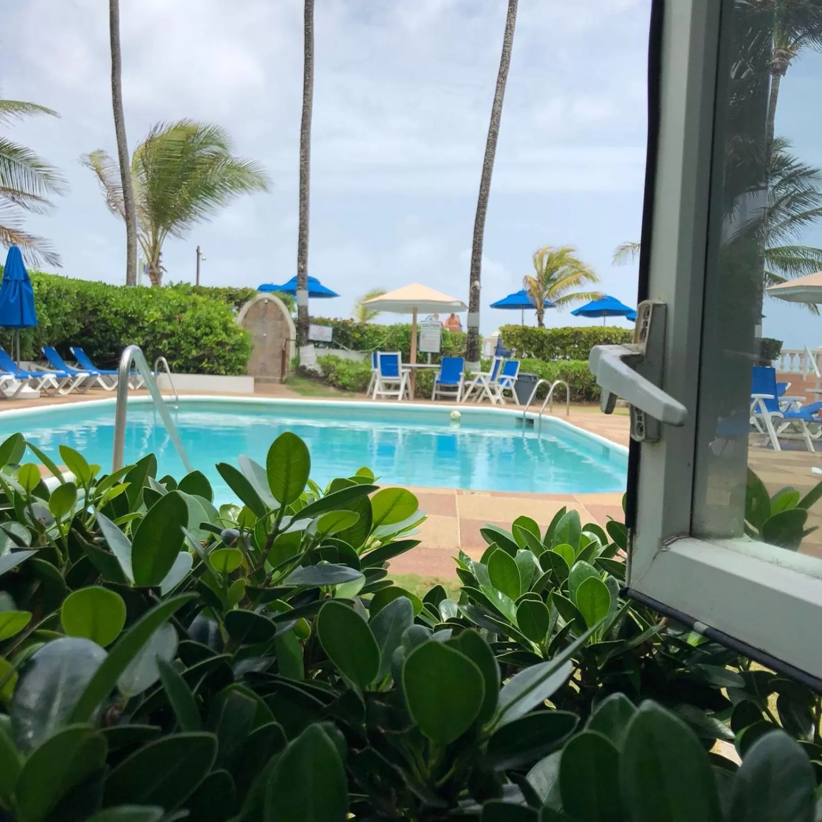 Pool view in Dover Beach Hotel