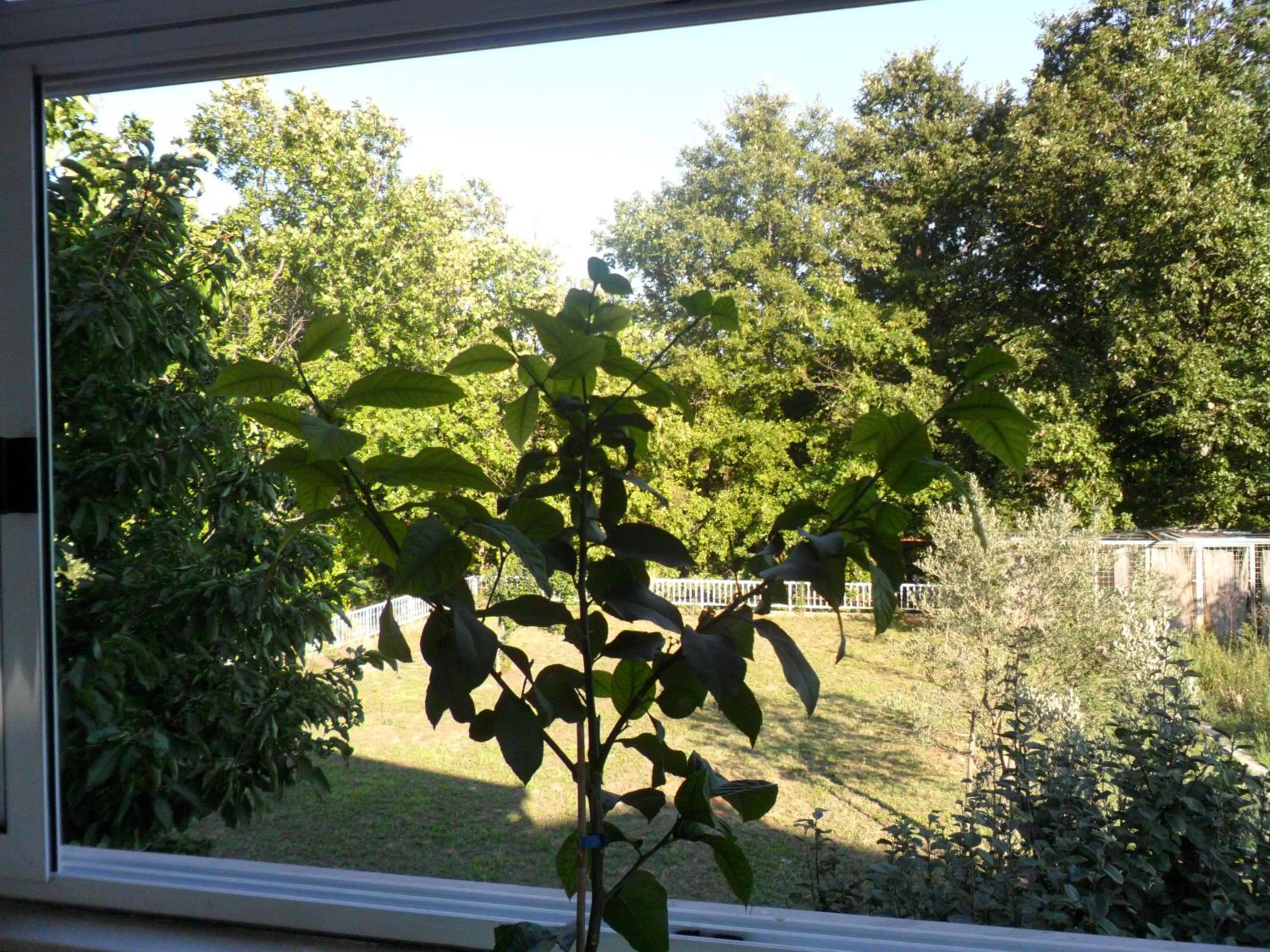 Garden view, Garden in Rooms MBM