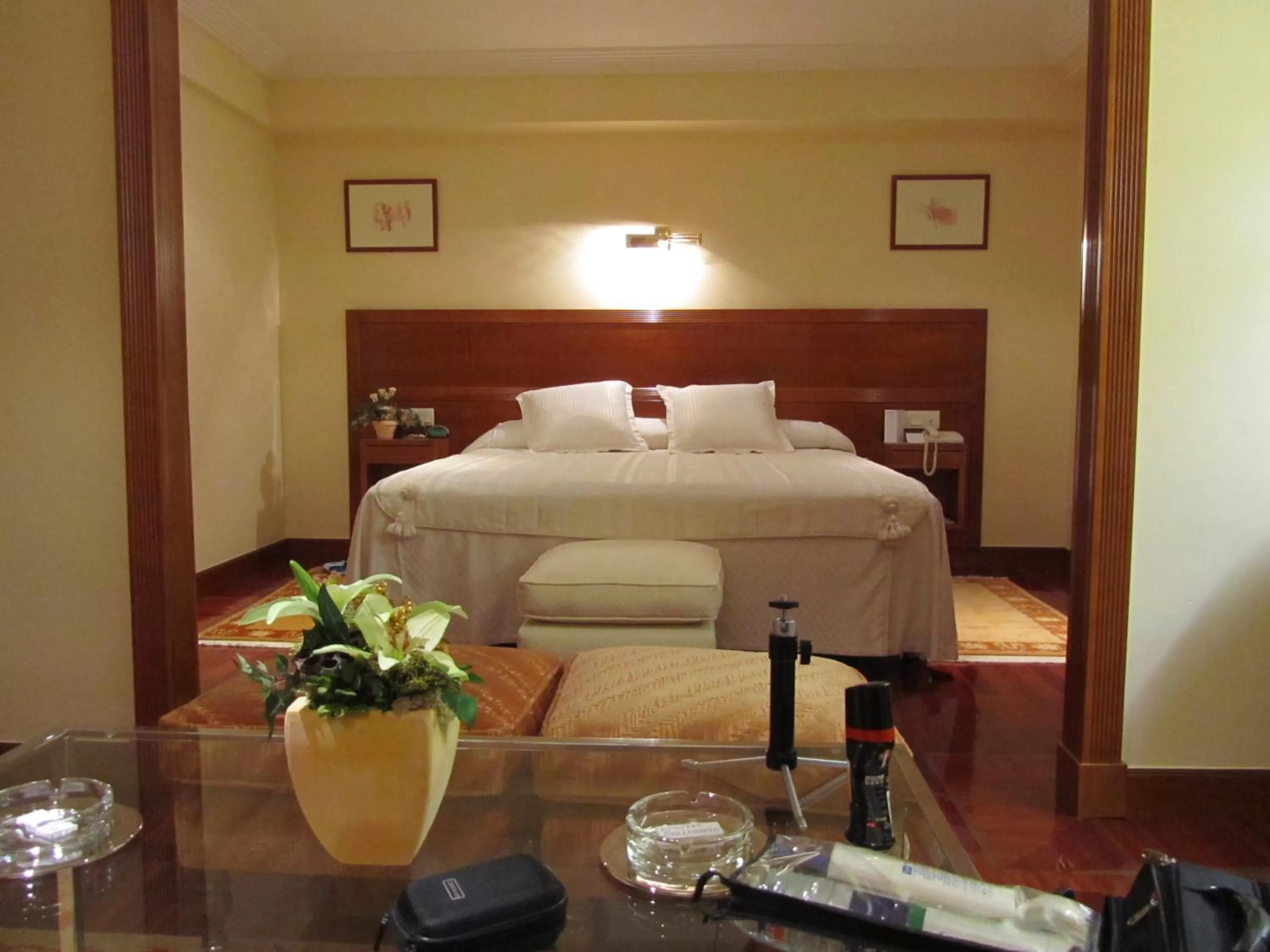 Photo of the whole room in Bellavista