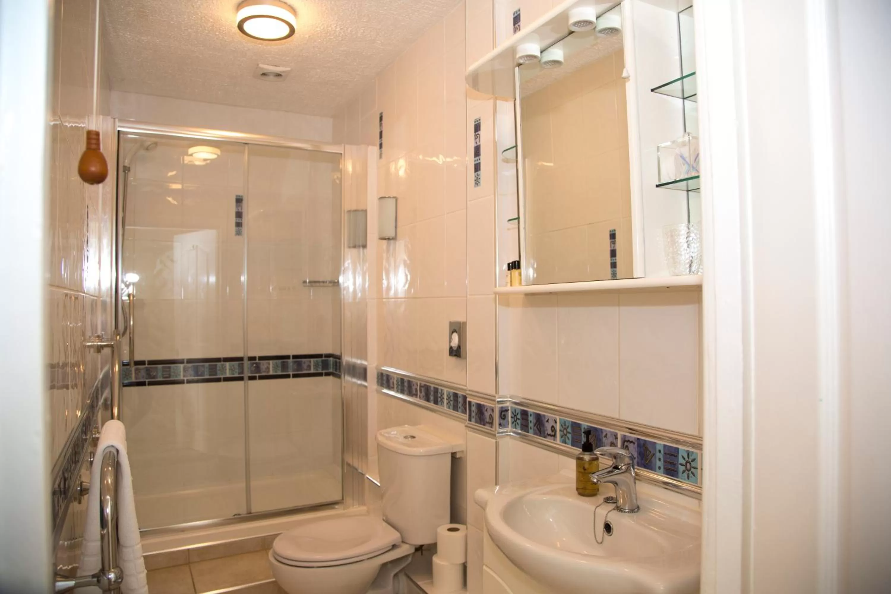 Shower in Carlton Court