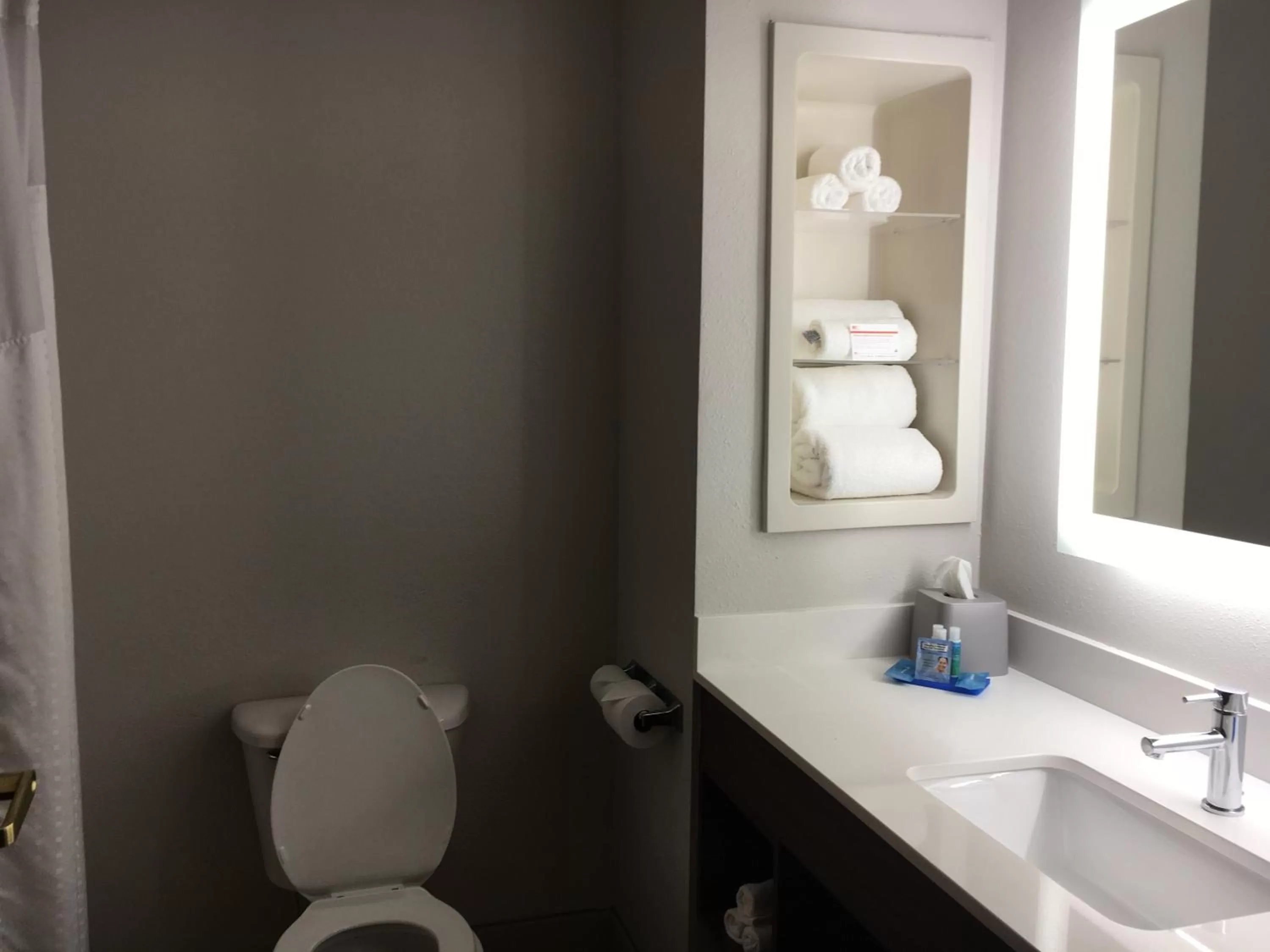 Bathroom in Holiday Inn Express and Suites Thomasville by IHG