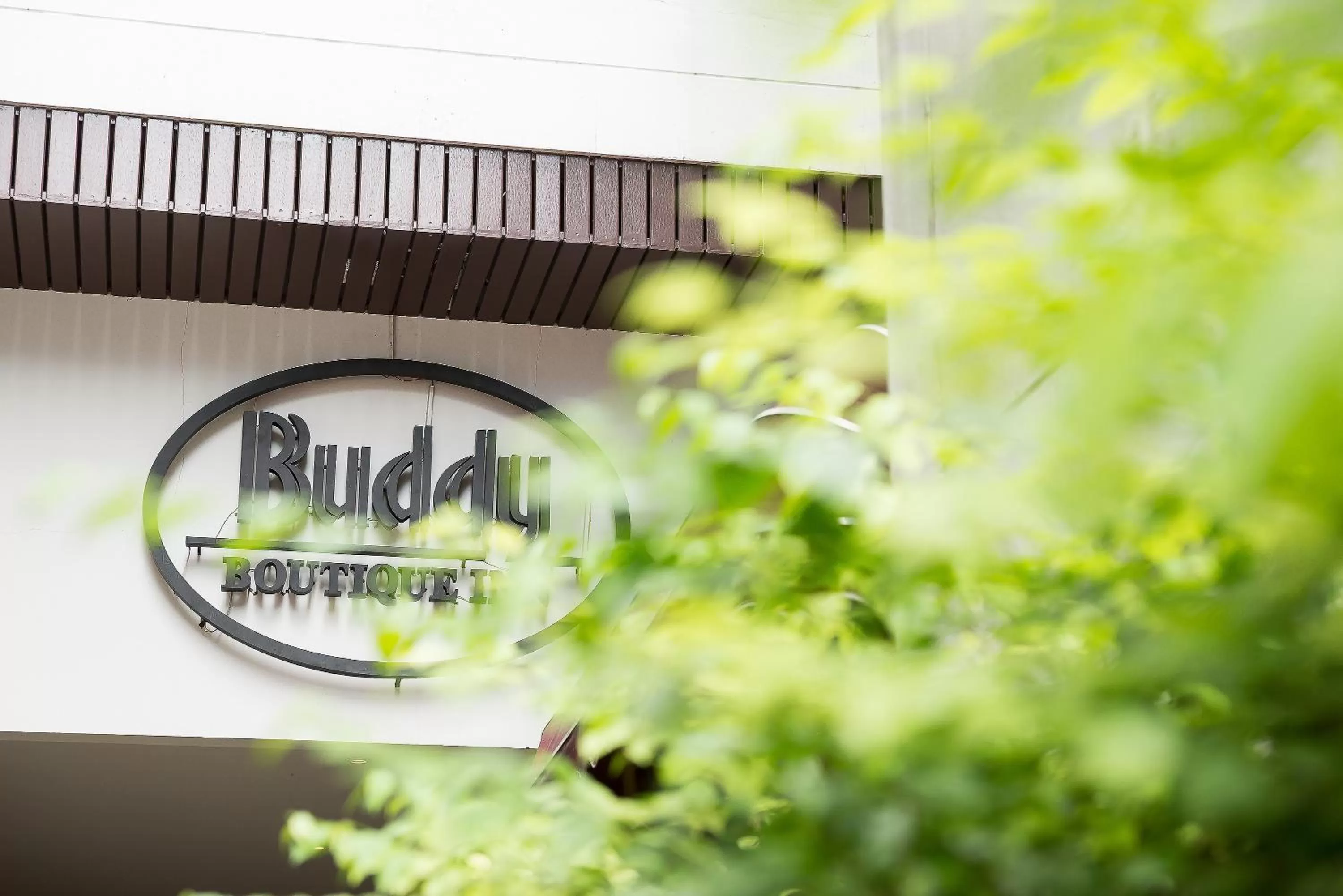 Property logo or sign in Buddy Boutique Inn