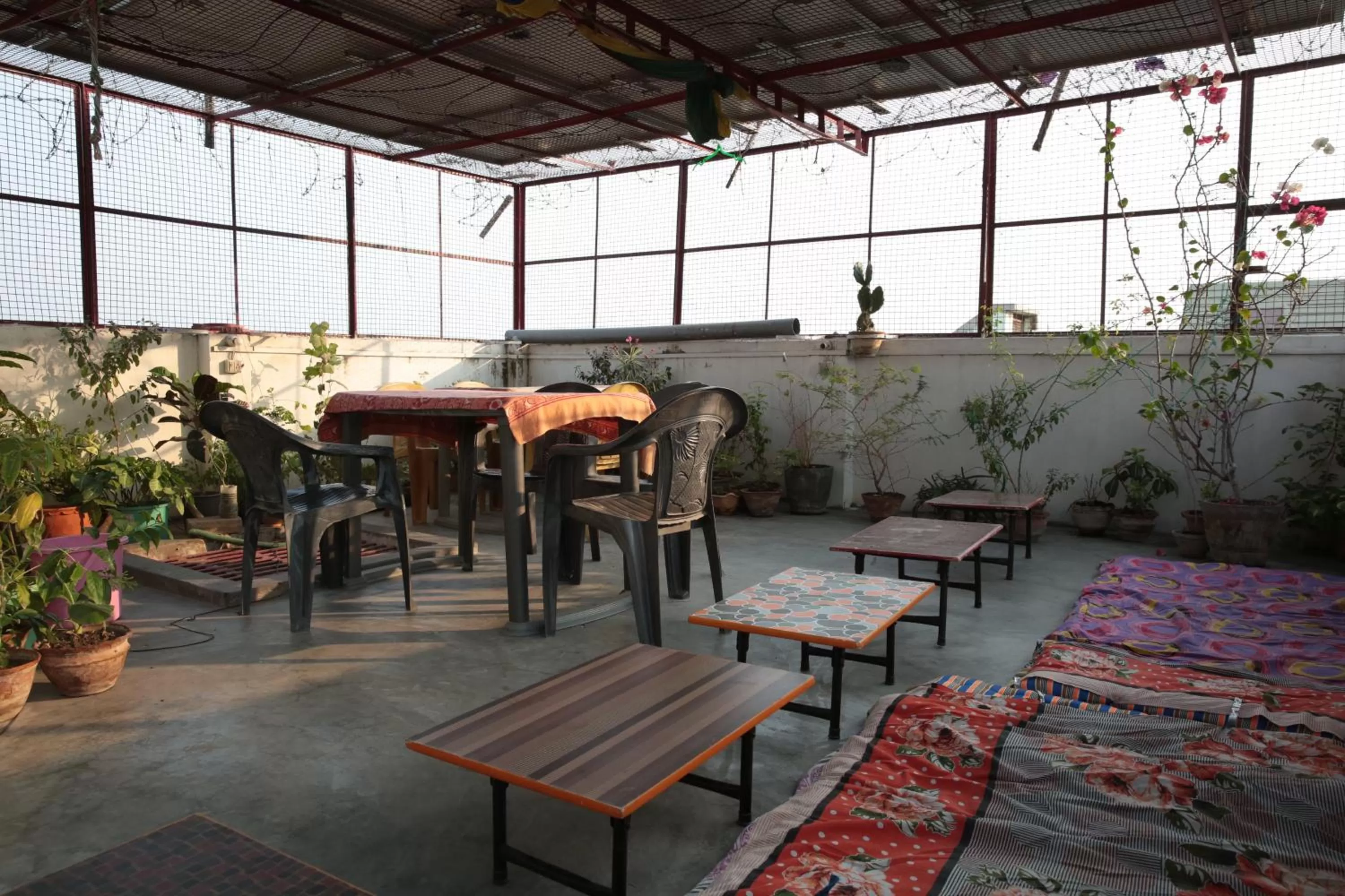 Restaurant/places to eat in Somit Paying Guest House