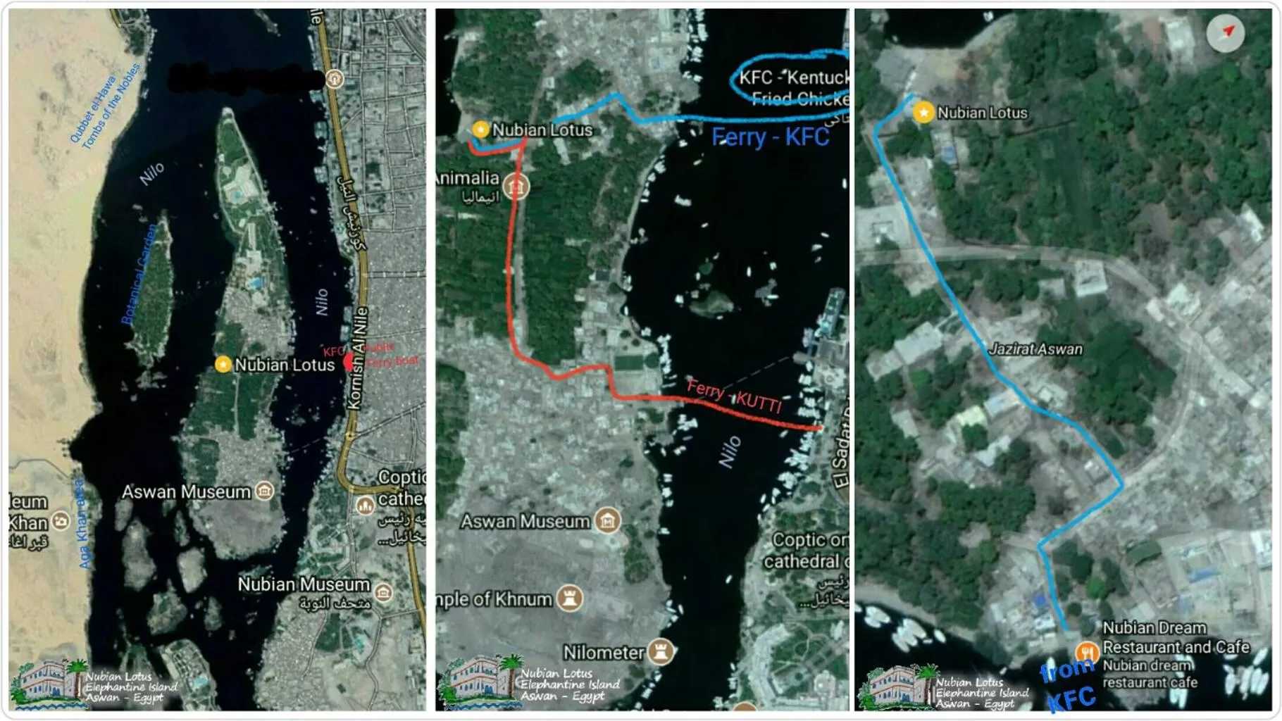 Bird's-eye View in Nubian Lotus