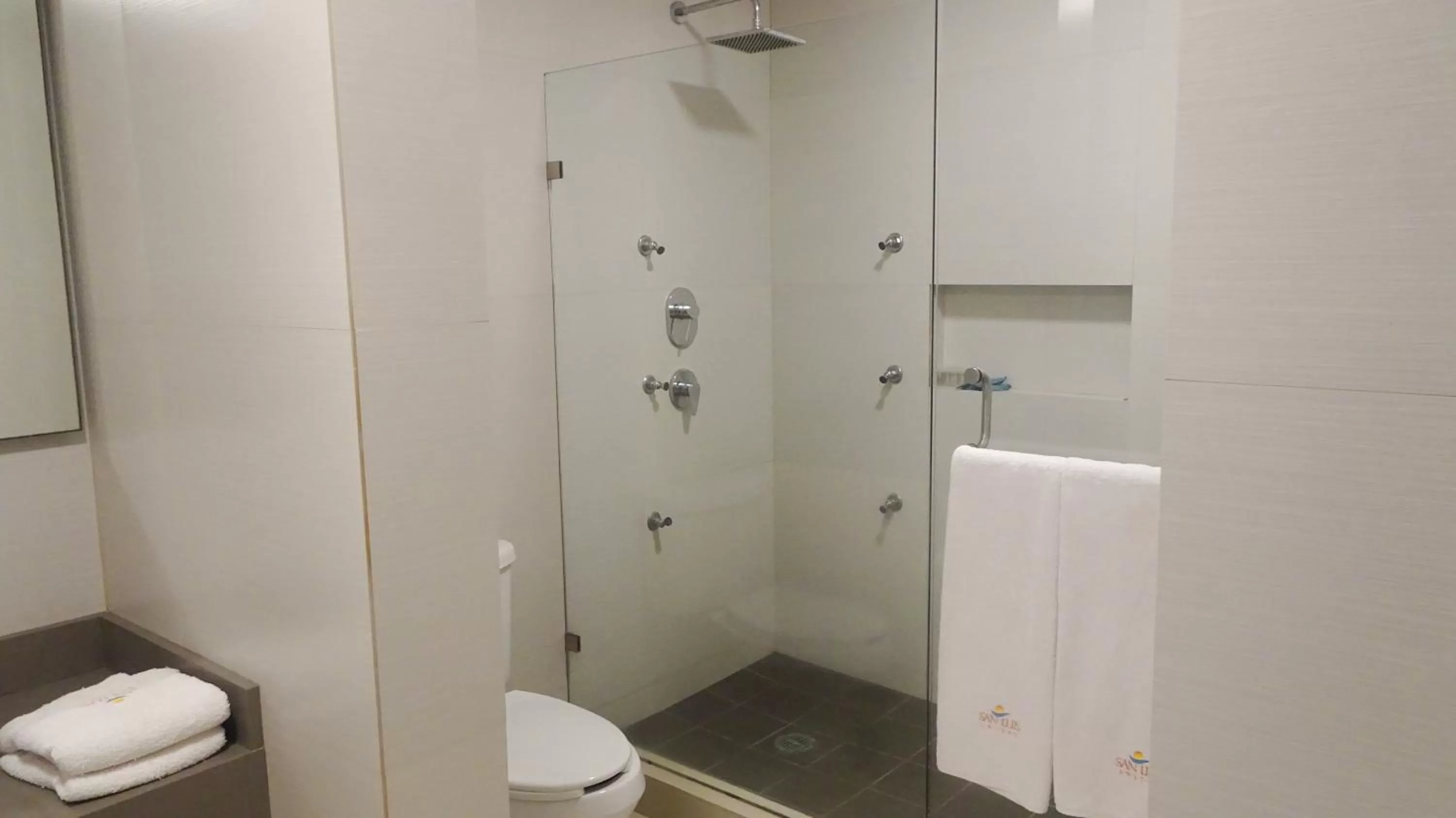Shower in Suites San Luis