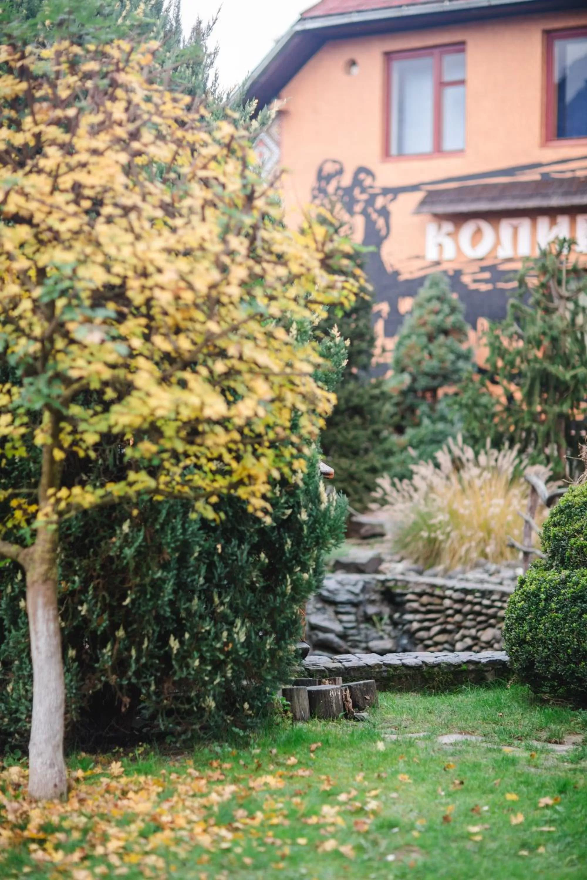 Property Building in Kolyba Opryshkiv