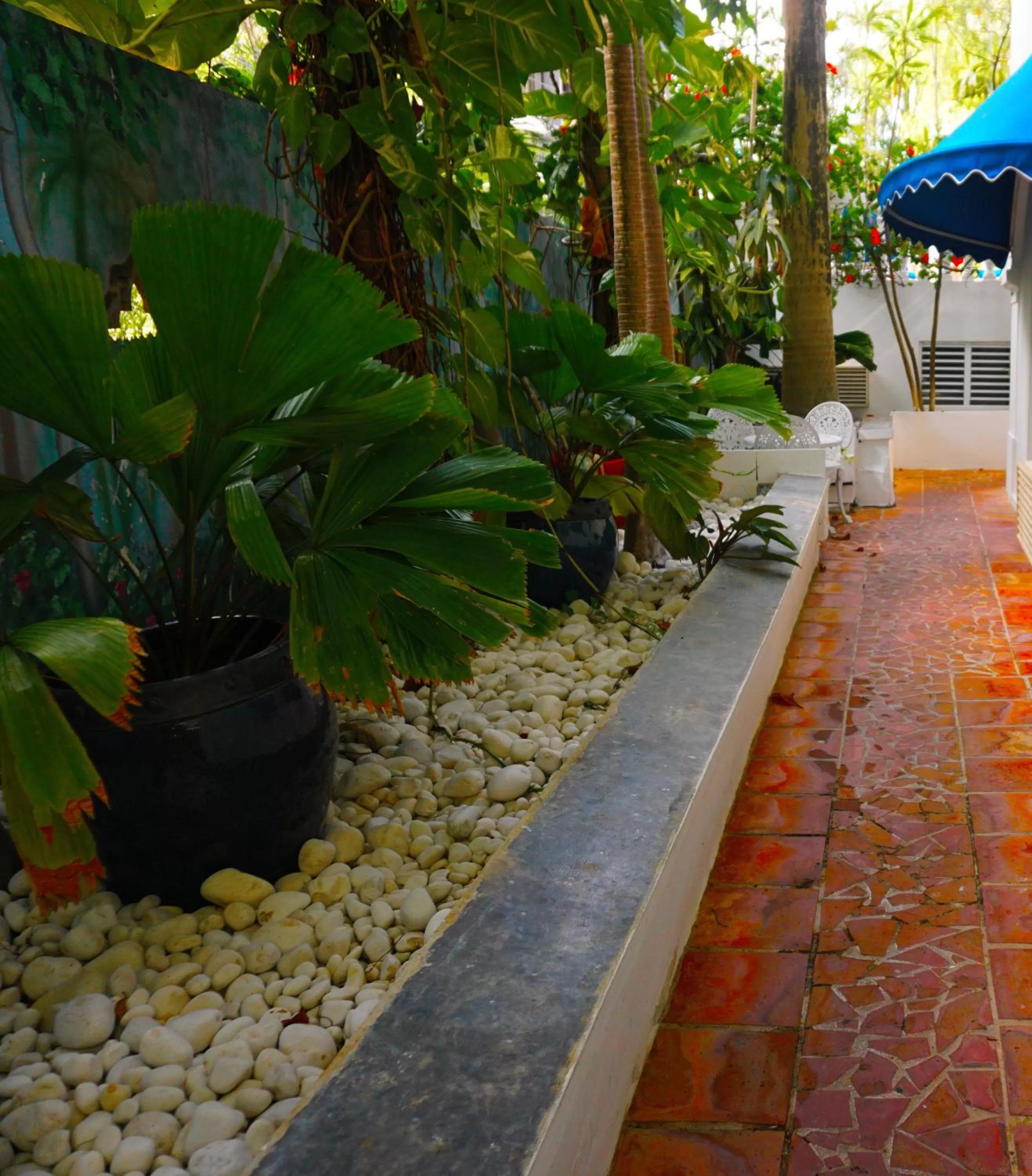 Day in At Wind Chimes Boutique Hotel