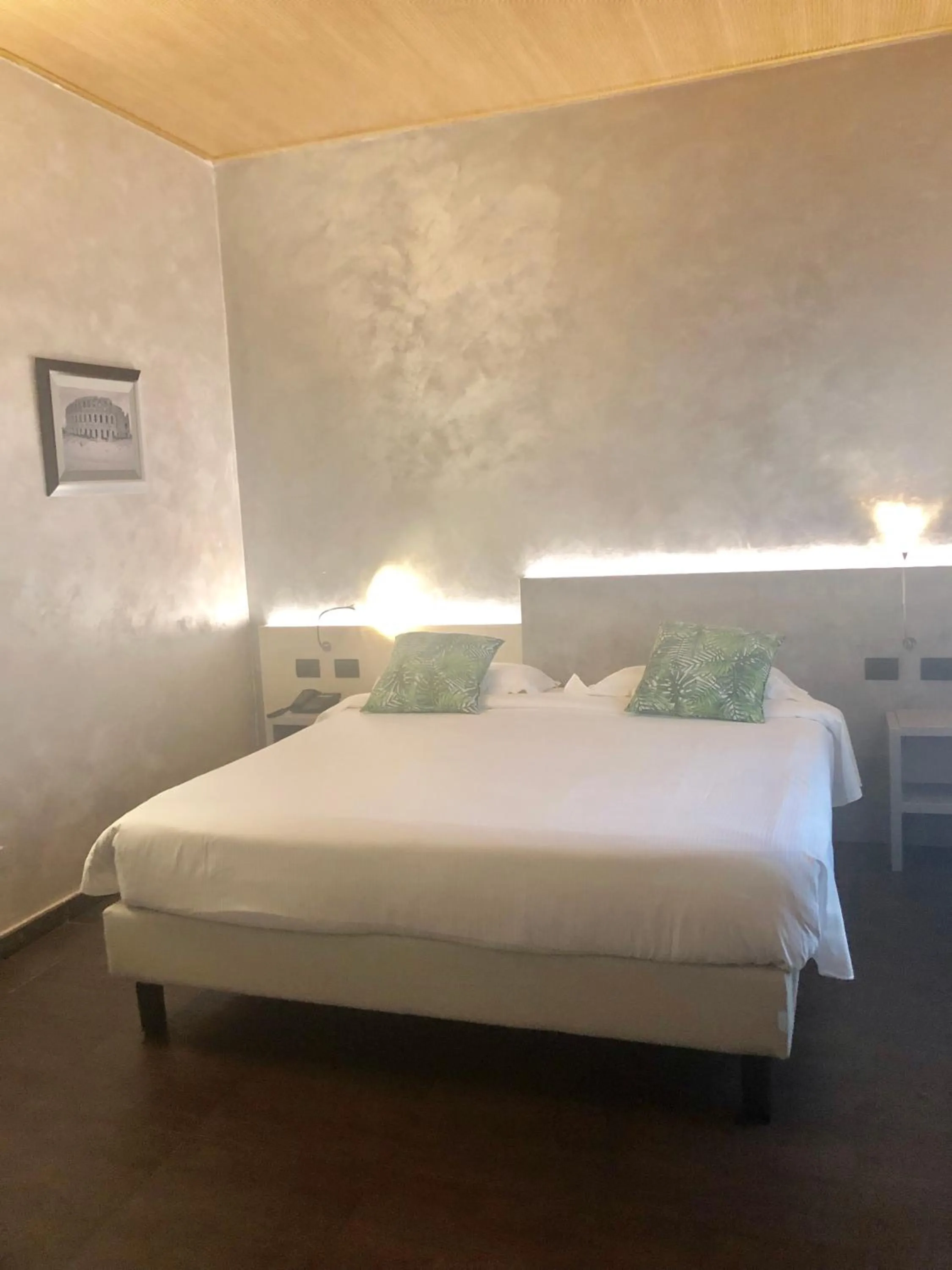 Standard Double Room in Hotel Bolzano