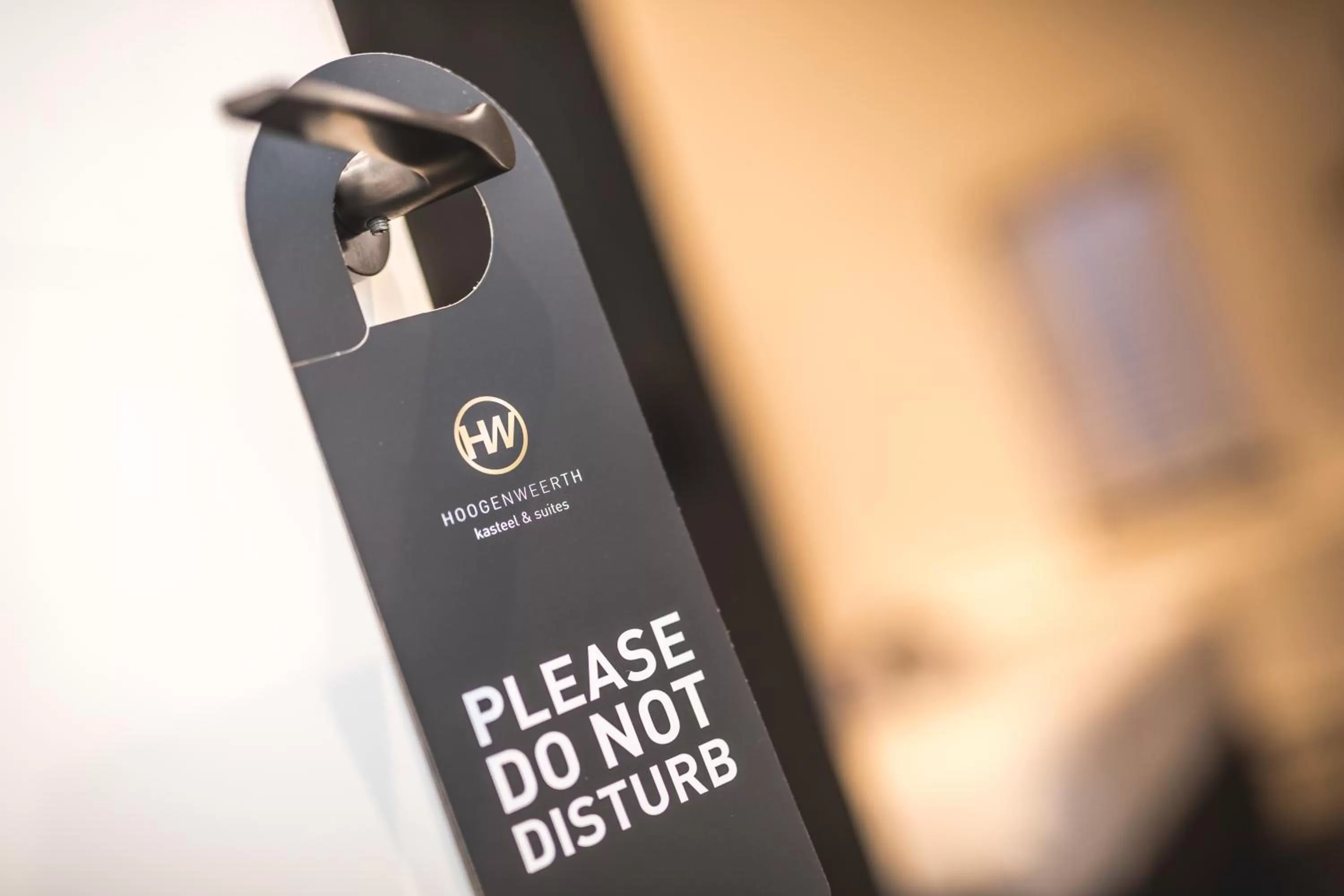 Decorative detail in Landgoed Kasteel de Hoogenweerth