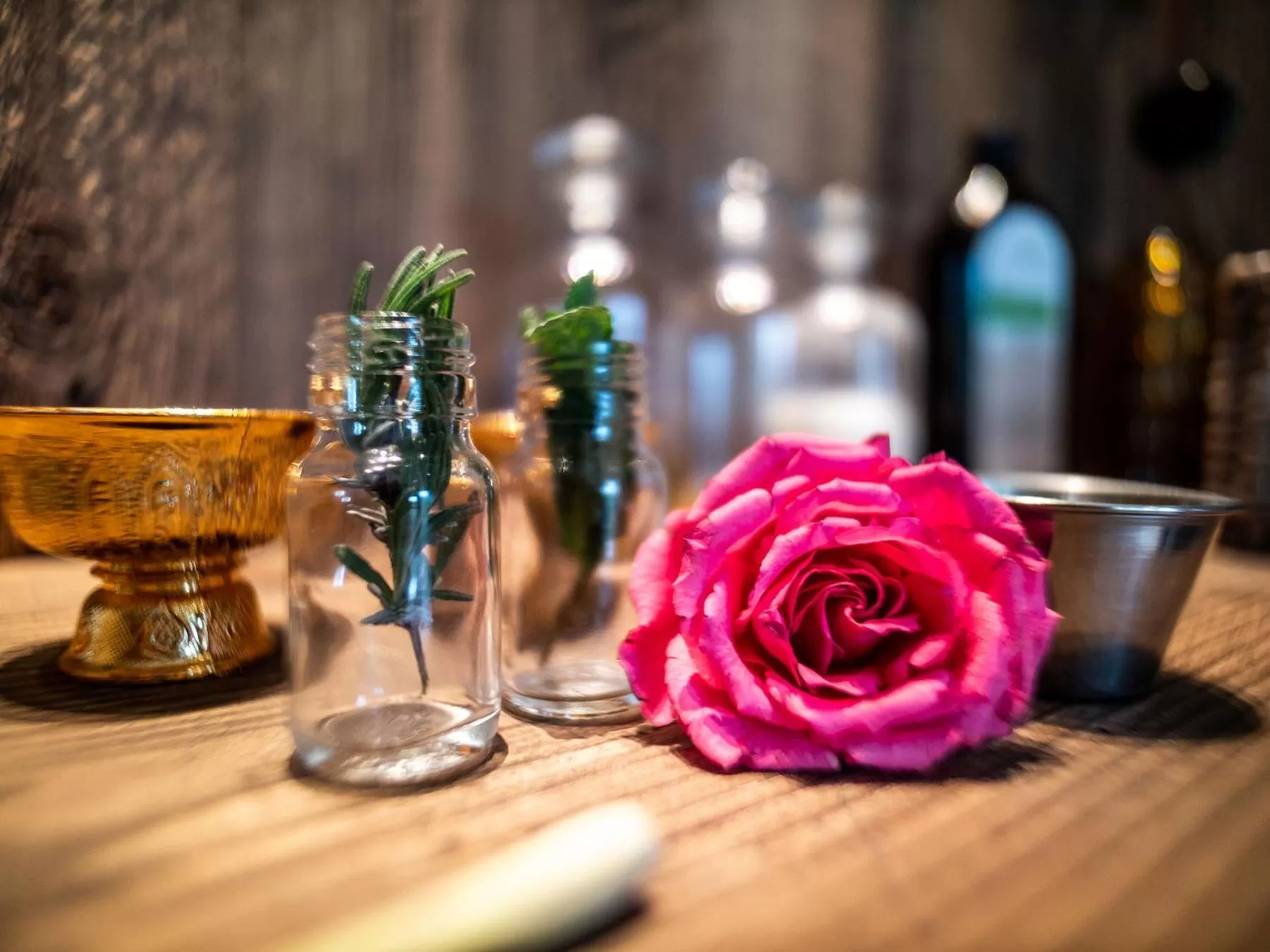 Massage, Drinks in Alpenloge Hotel