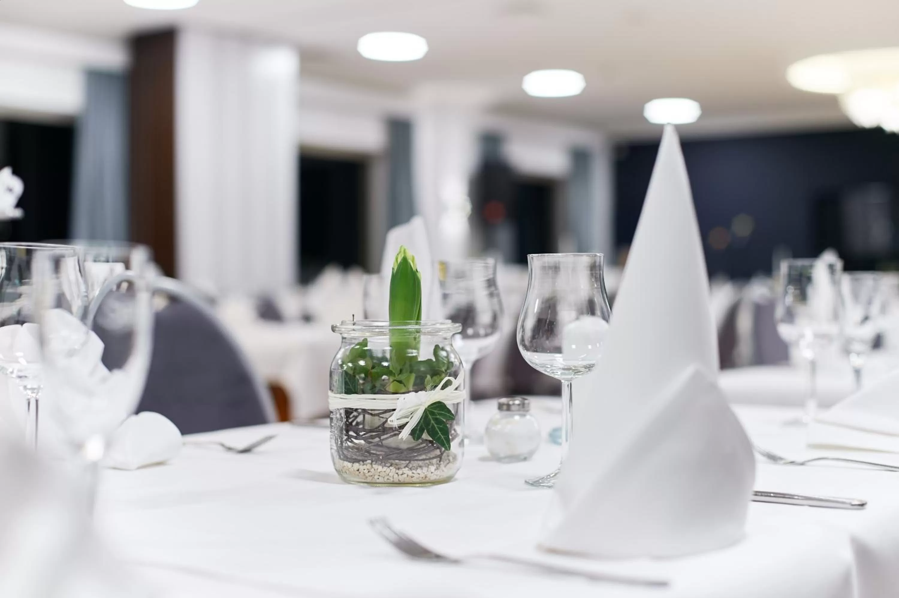 Area and facilities in Straelener Hof