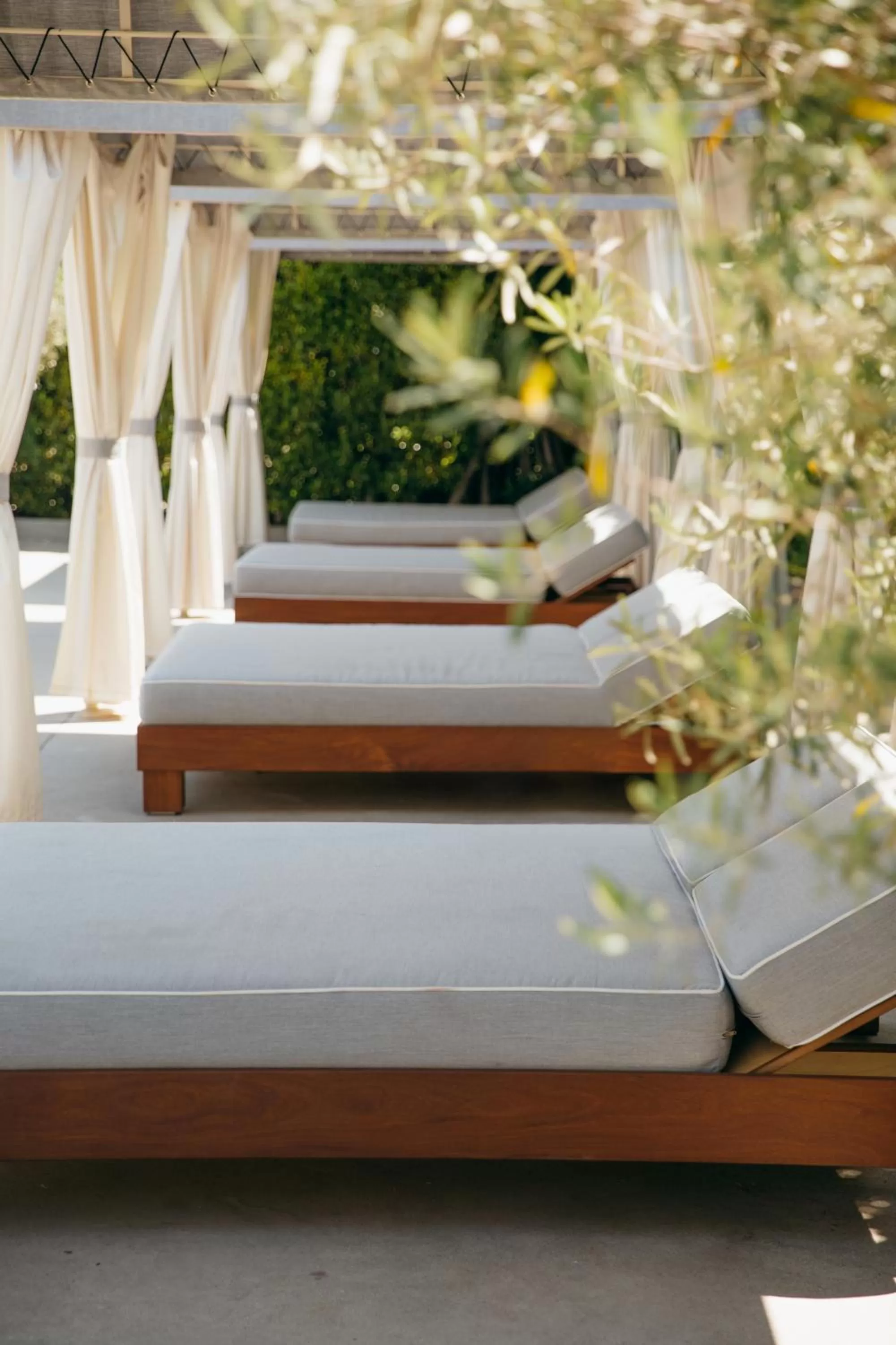 Swimming pool, Bed in Luxe Sunset Boulevard Hotel