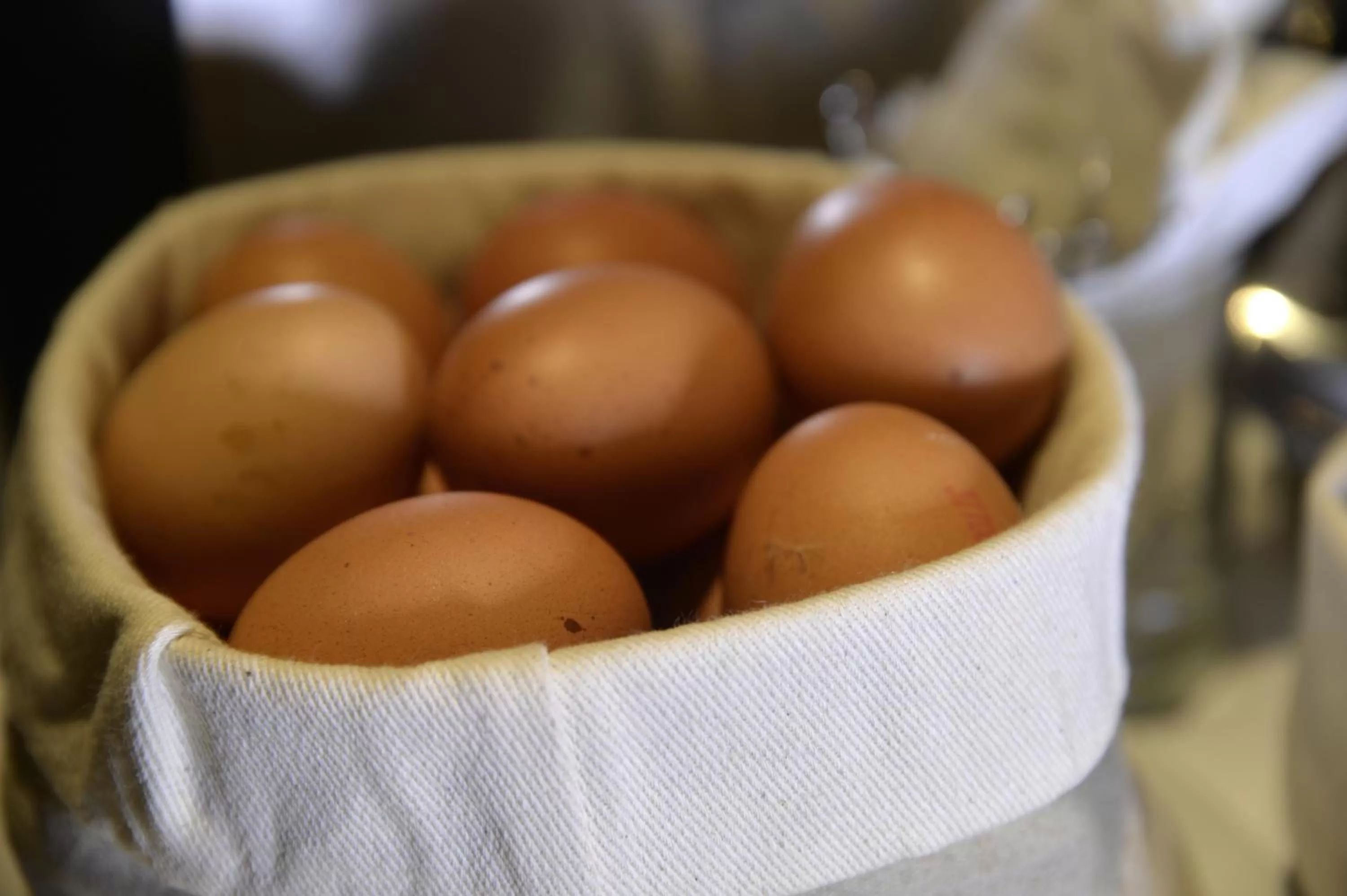 Continental breakfast in Best Western Hotel Armando