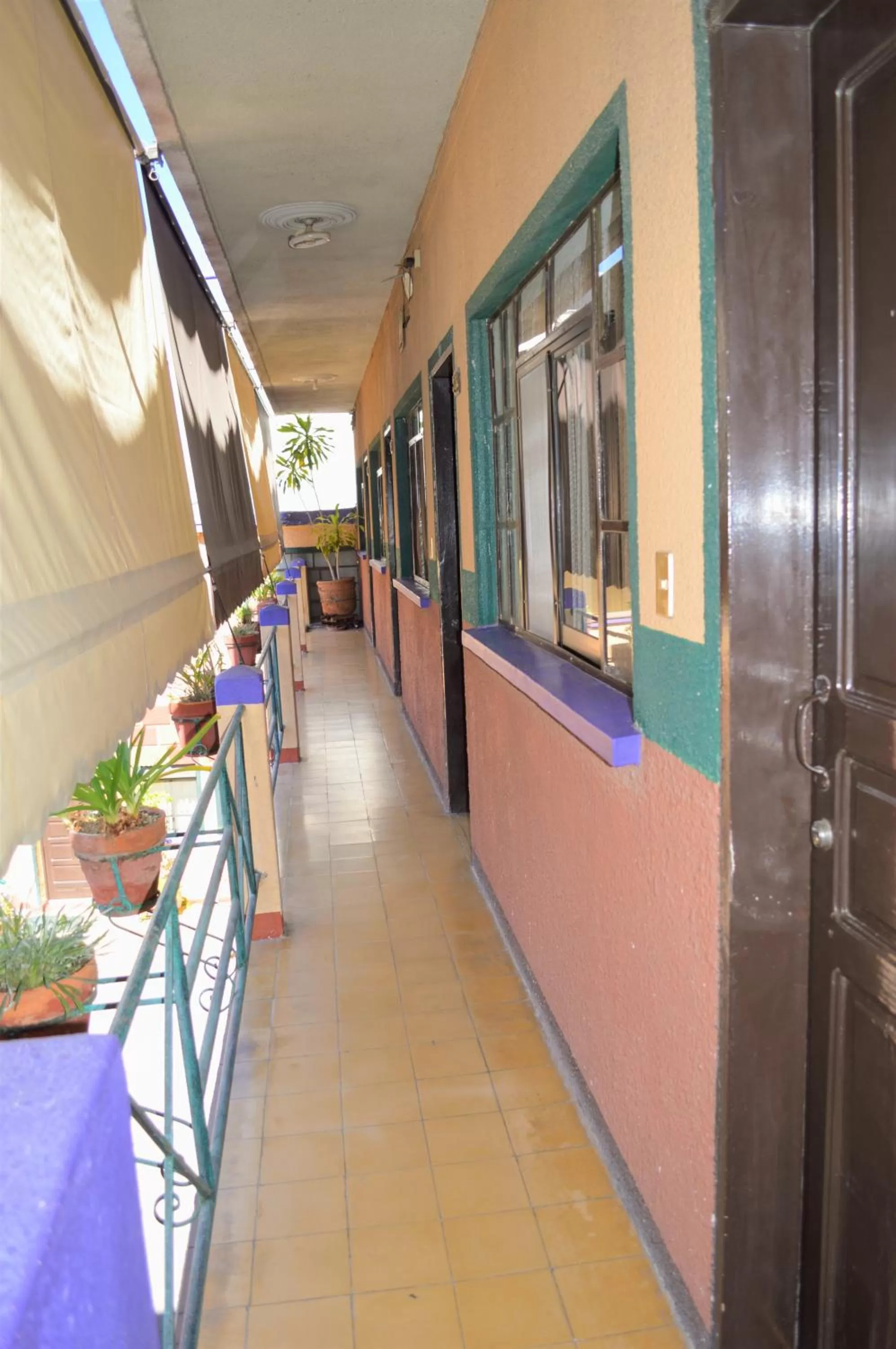 Balcony/Terrace in Hotel Colonial