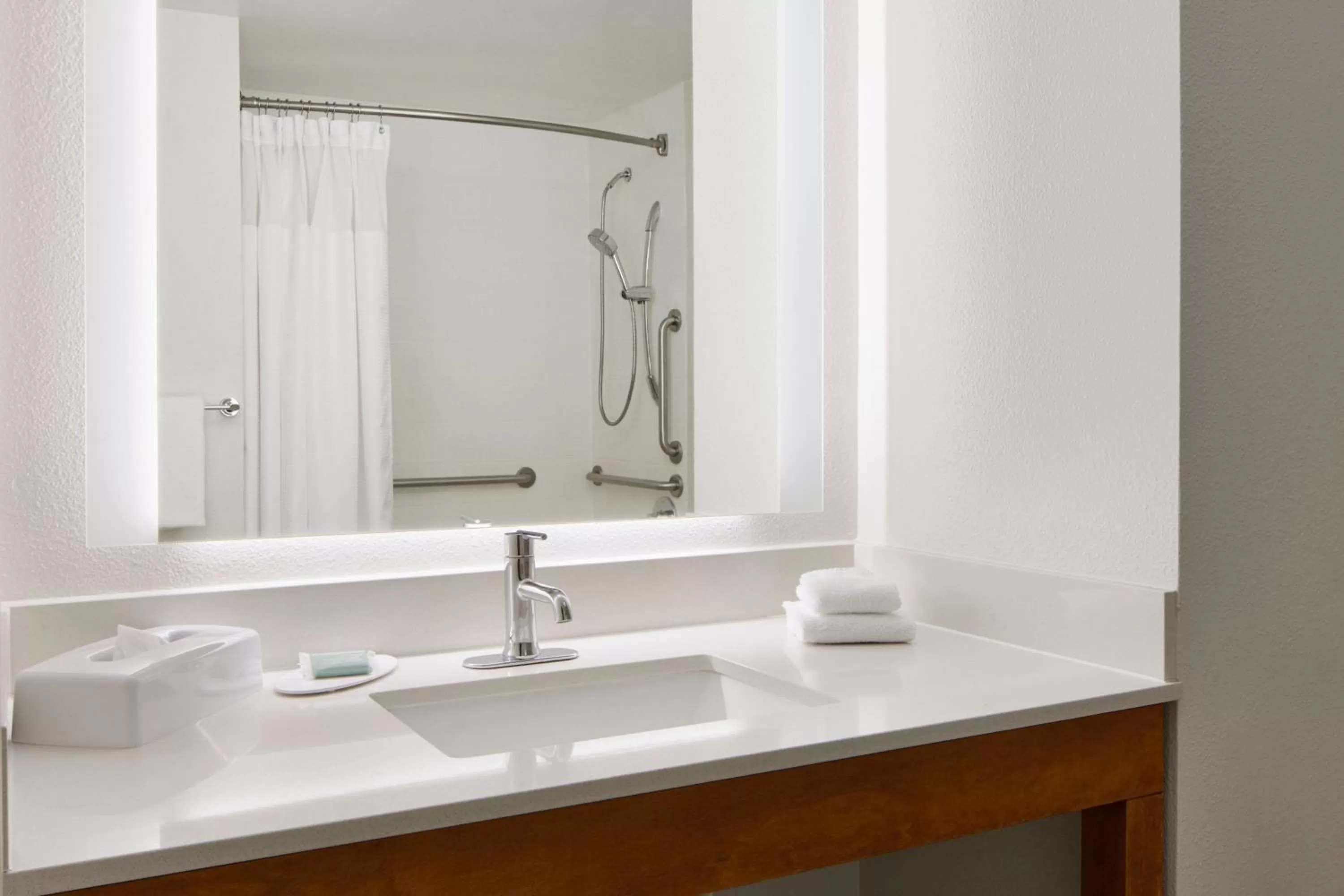 Bathroom in SpringHill Suites by Marriott San Antonio Downtown-Riverwalk Area