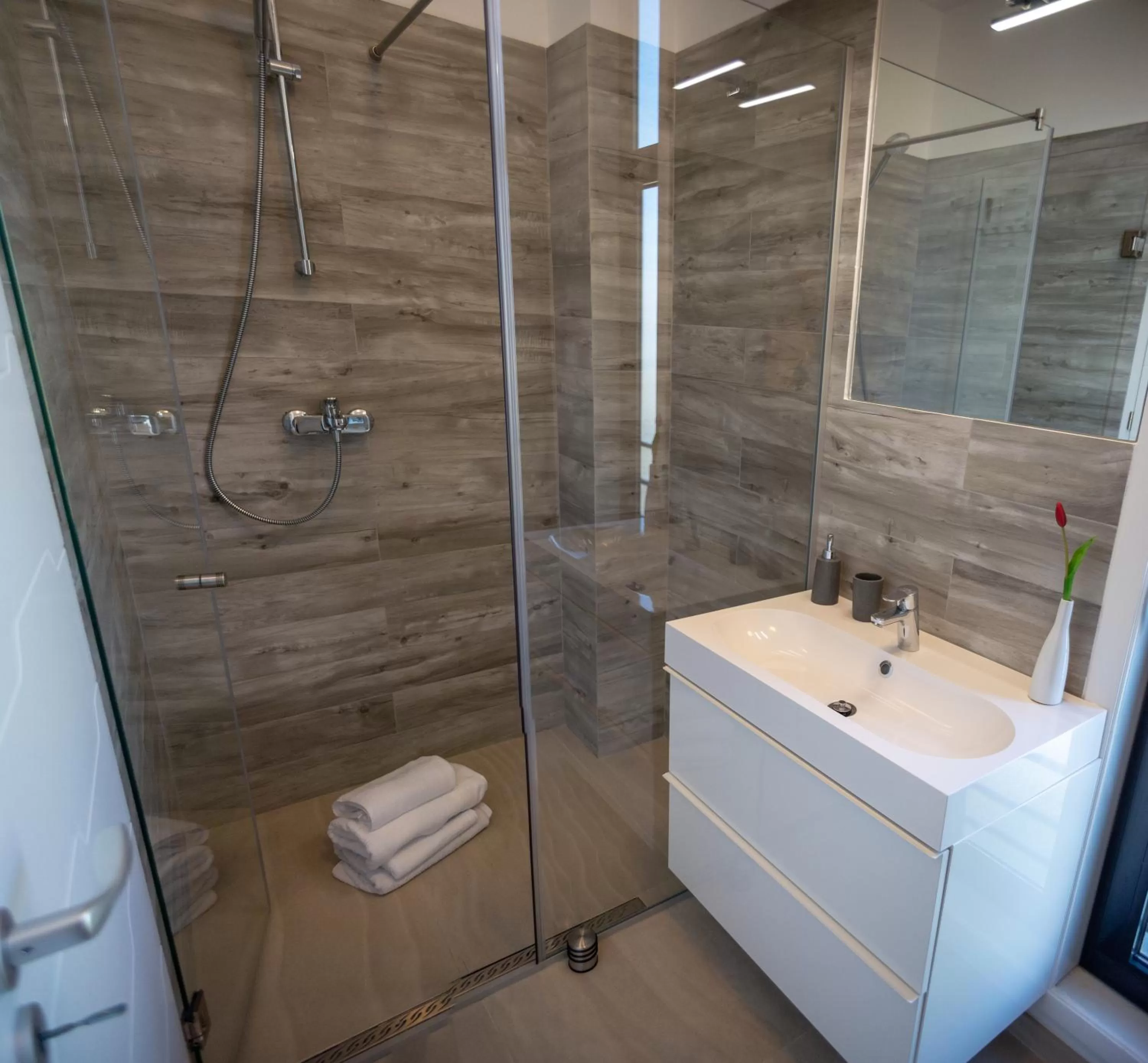 Shower, Bathroom in Steel Residence