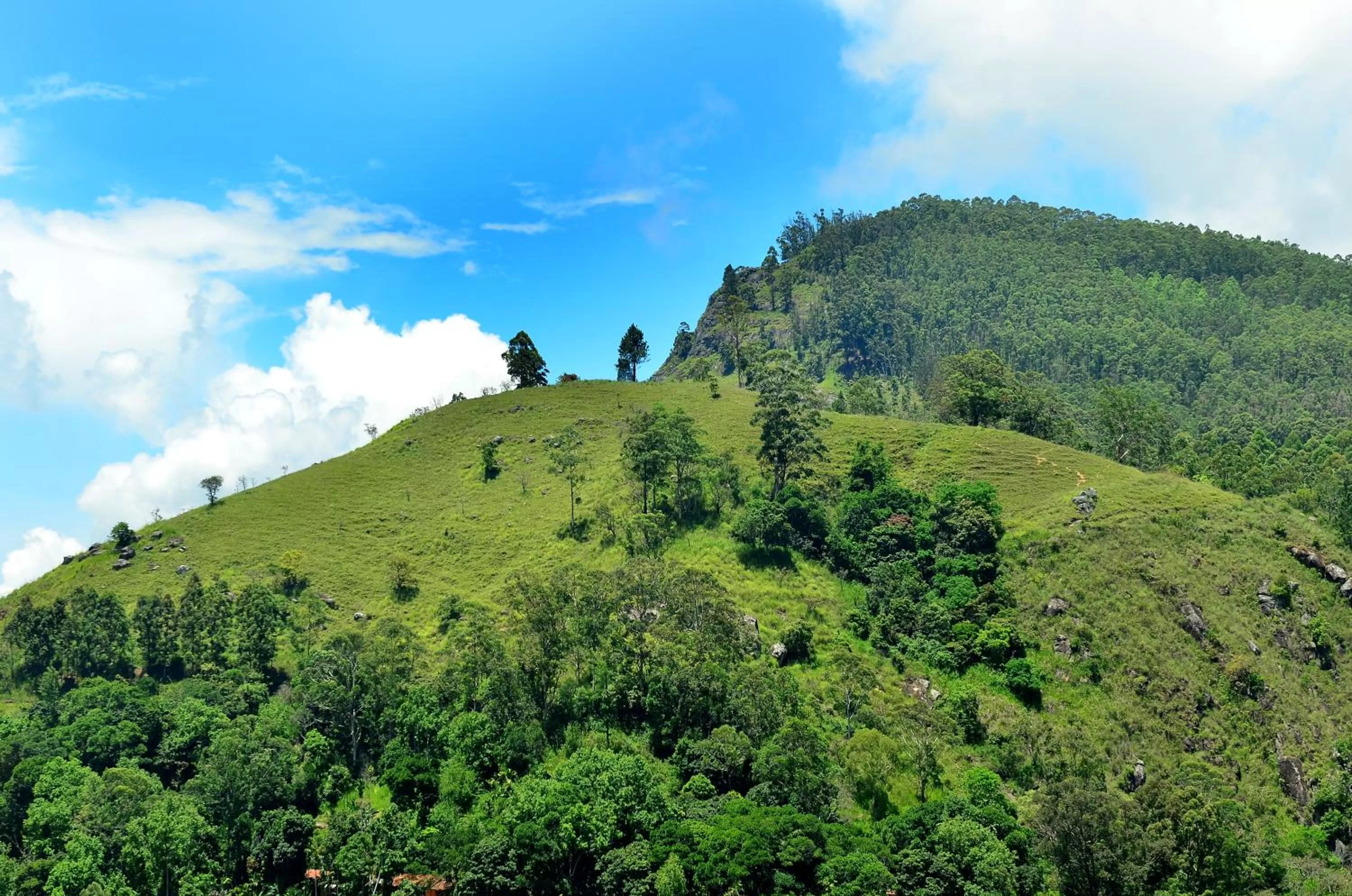 Mountain view in Dimuthu Home Stay