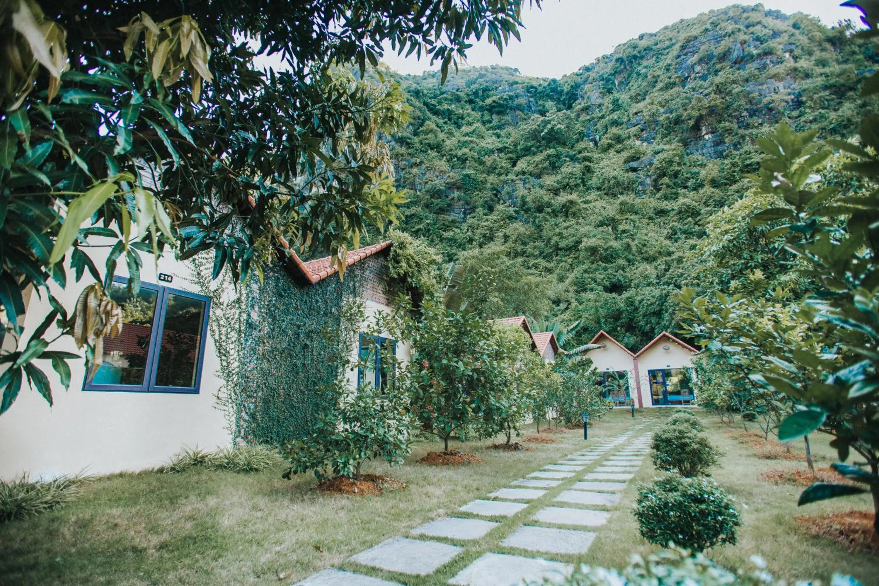 Garden in Trang An Retreat