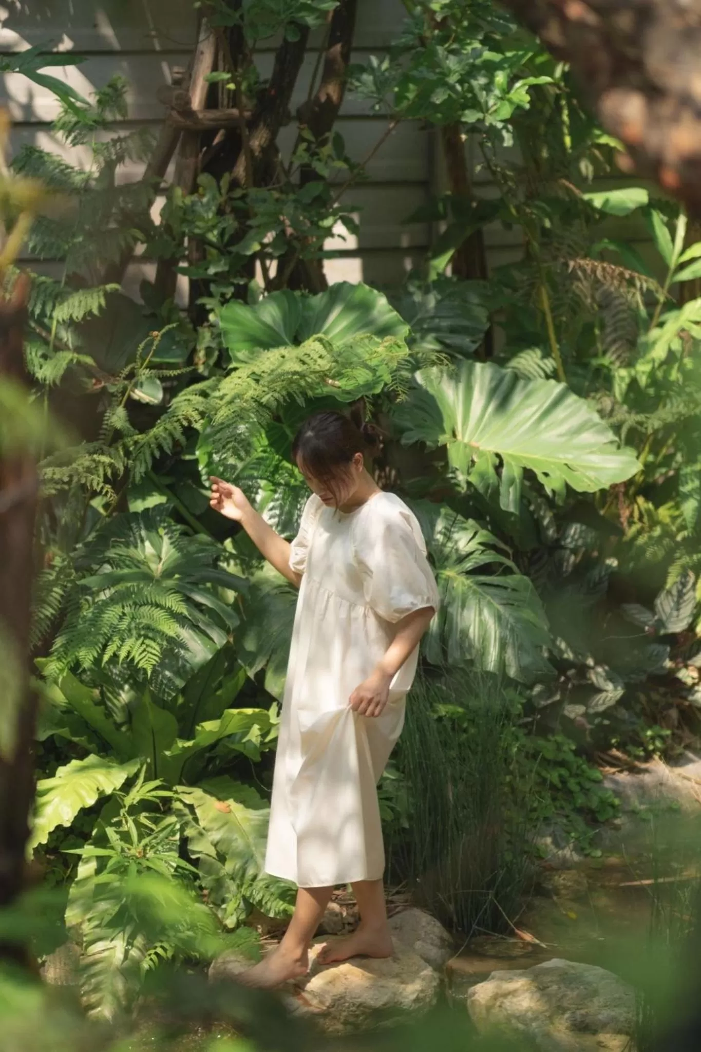 Natural landscape in Proud Phu Fah Muang Chiang Mai