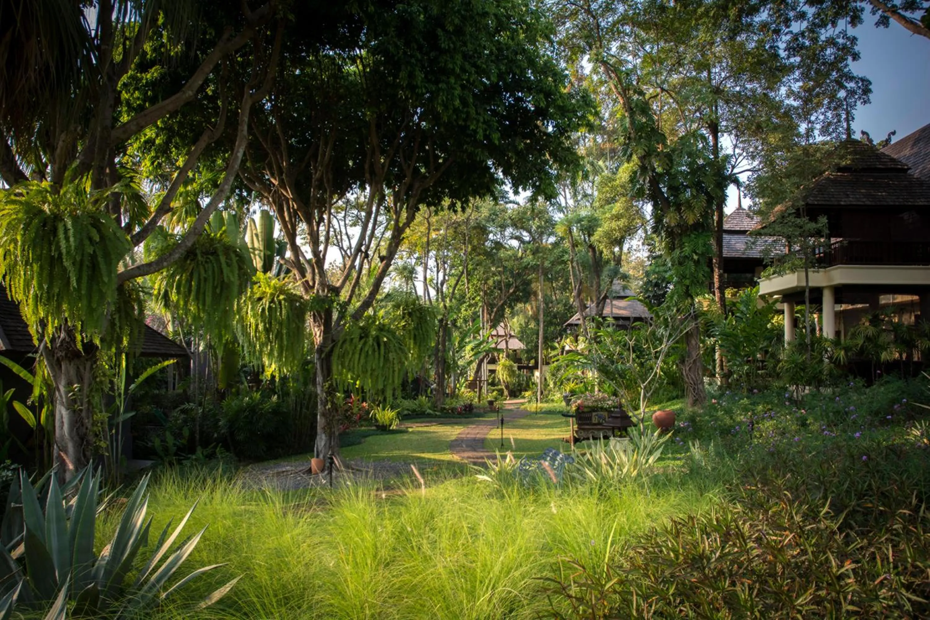 Garden in Four Seasons Resort Chiang Mai