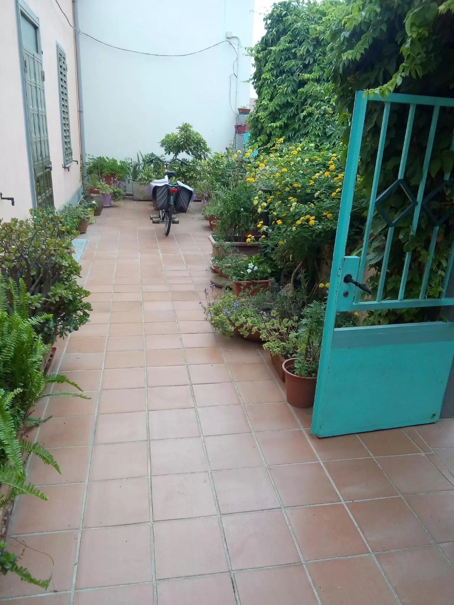 Facade/entrance in Bed & Breakfast Paui