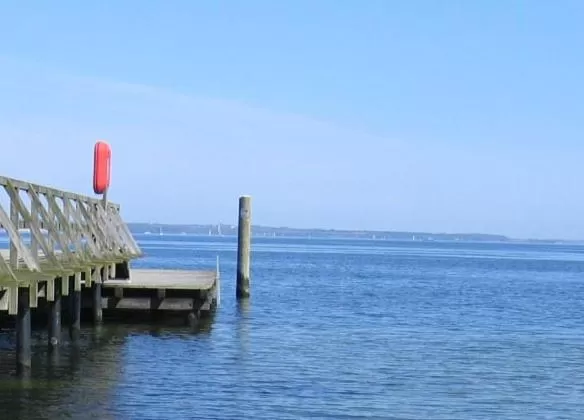 Area and facilities in Hotel am Wasserturm