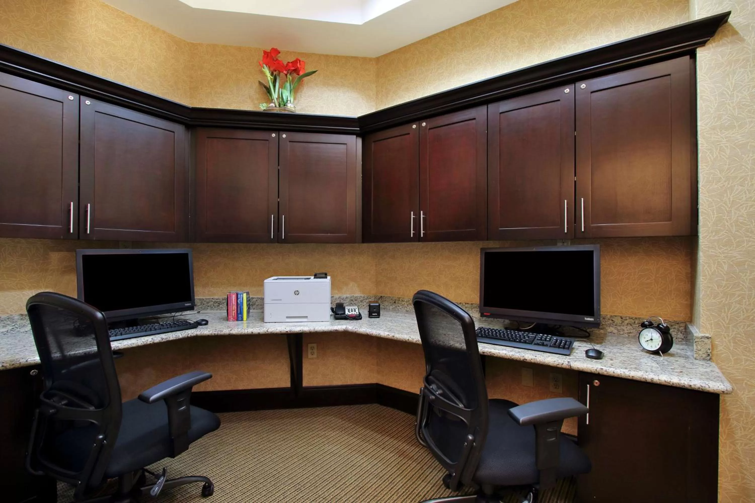 Business facilities in Hampton Inn & Suites Buffalo