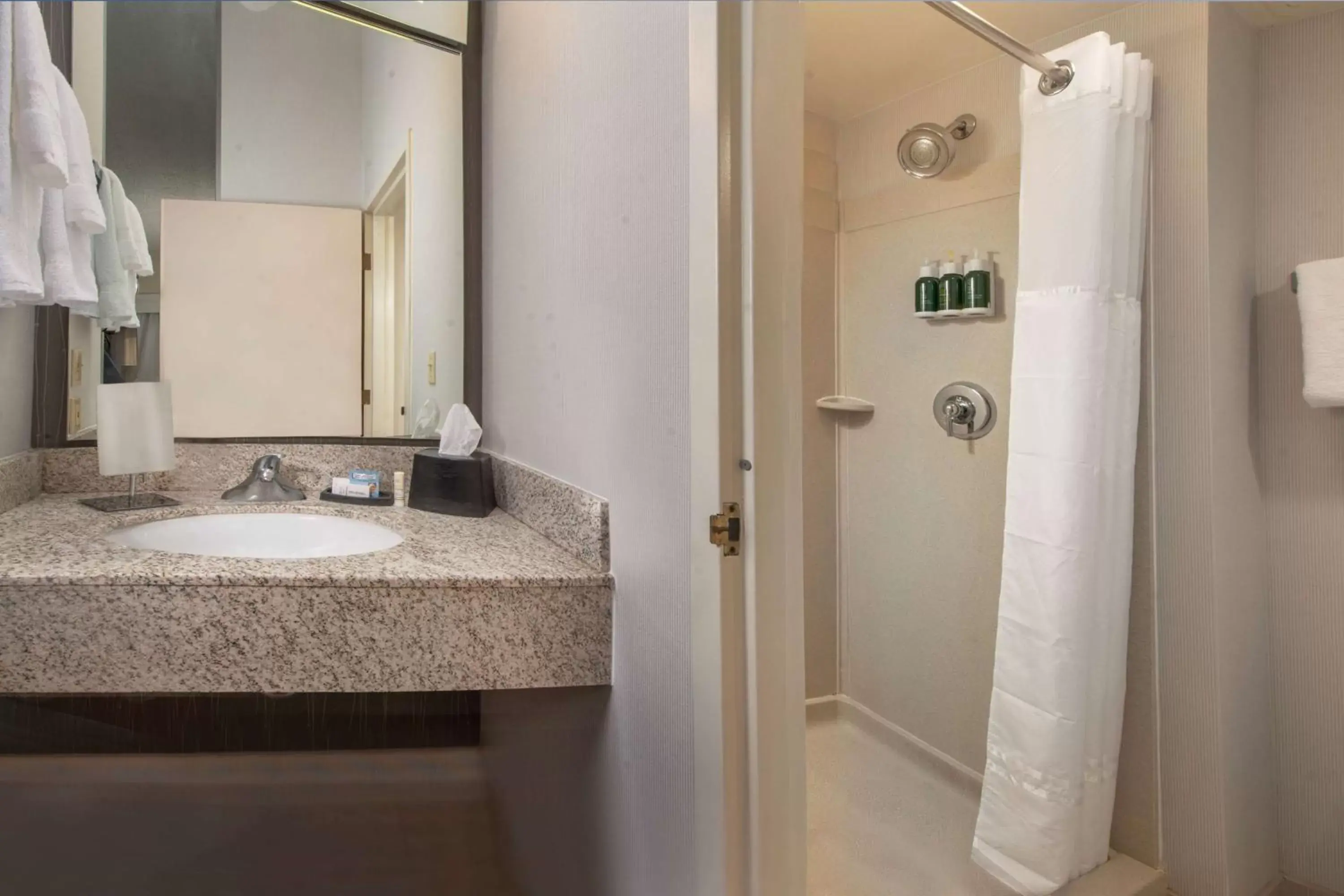 Deluxe King with Roll-In Shower - Mobility/Hearing Accessible in Sonesta Select Allentown Bethlehem Airport Deluxe King with Roll-In Shower - Mobility/Hearing Accessible in Sonesta Select Allentown Bethlehem Airport