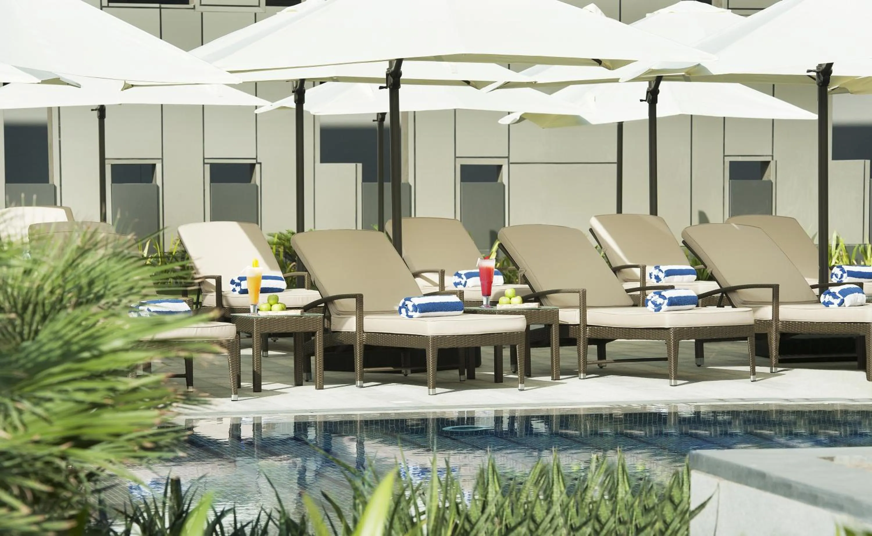 Swimming pool in DAMAC Maison Cour Jardin