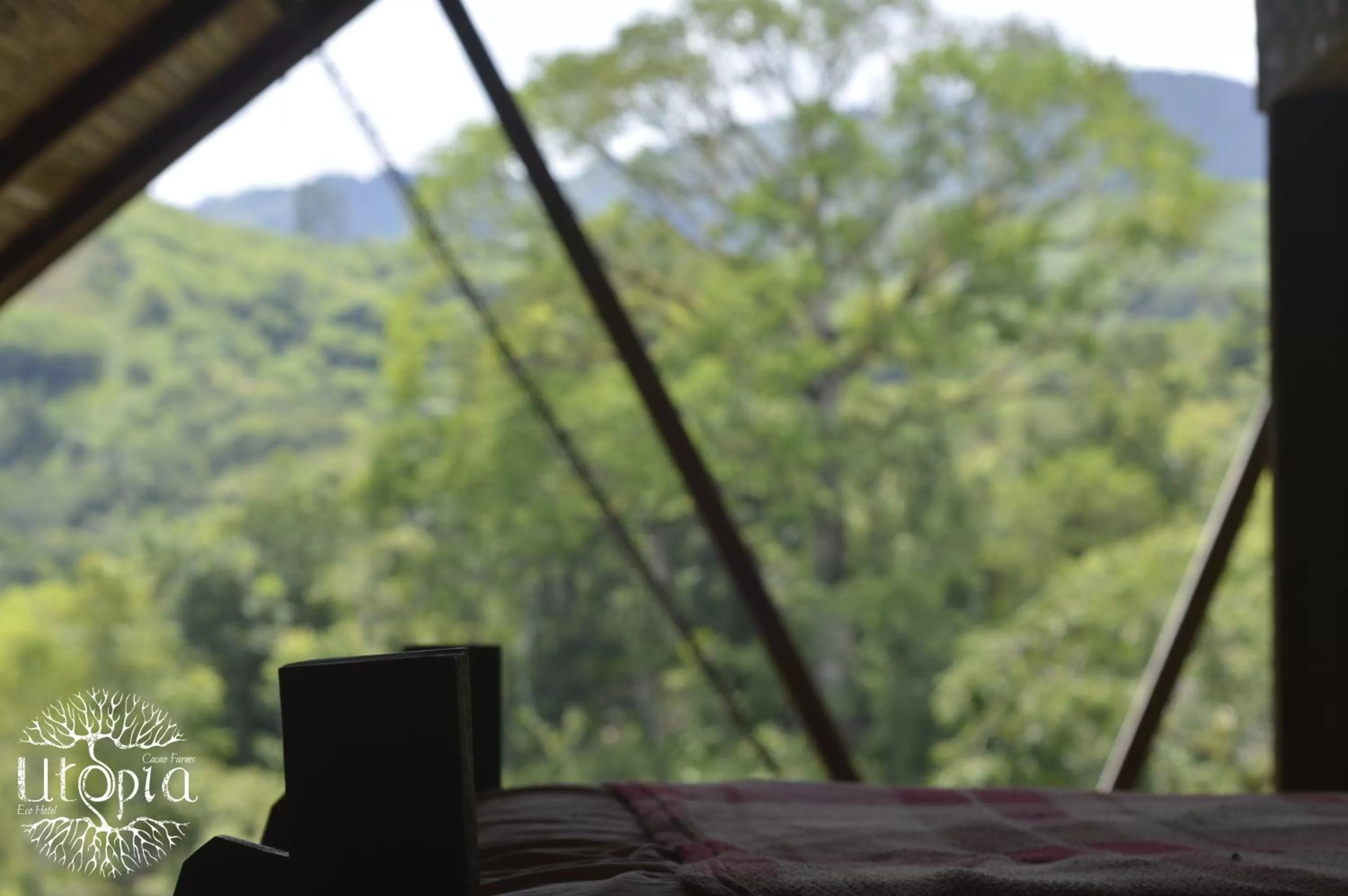 Property building in Utopia Eco Hotel