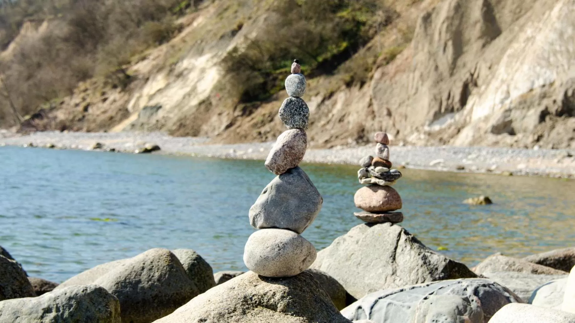 Lake view, Other Animals in Mare Balticum