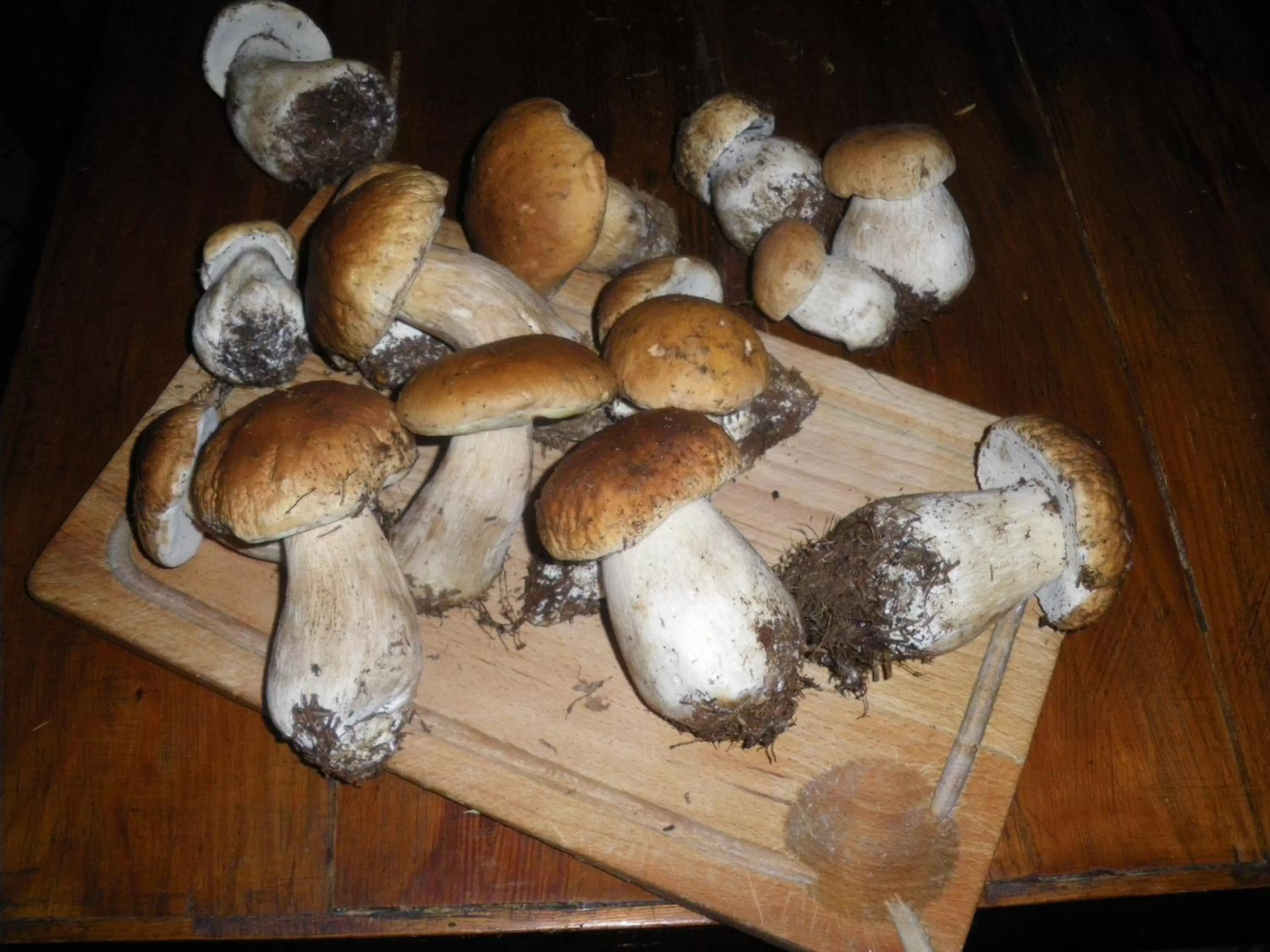 Hotel Restaurant du Lion d'Or