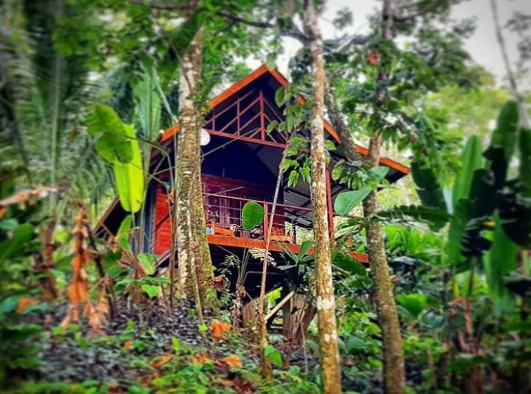 Other, Property Building in Surf Break at Paunch