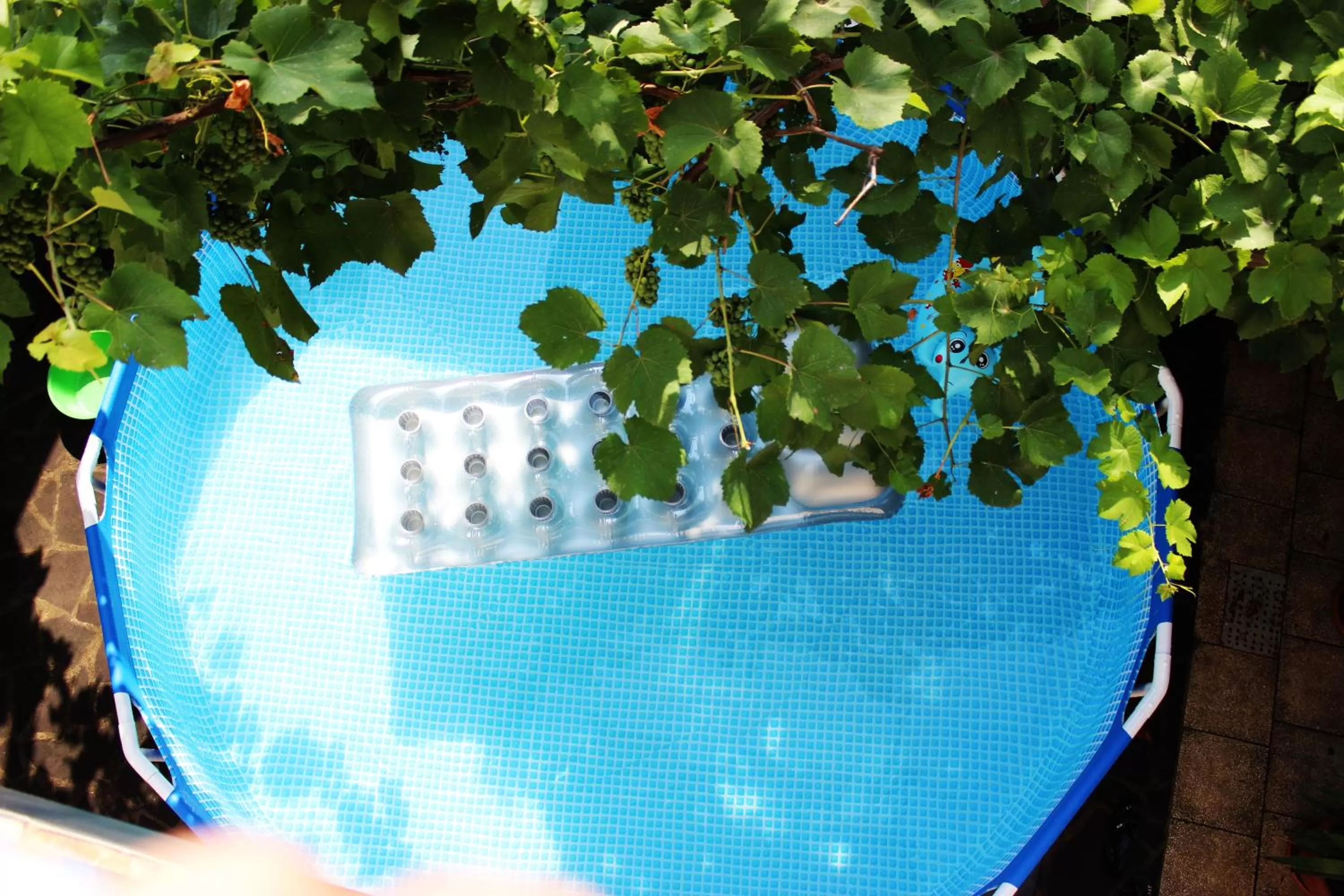 Pool view, Swimming Pool in Golden Way