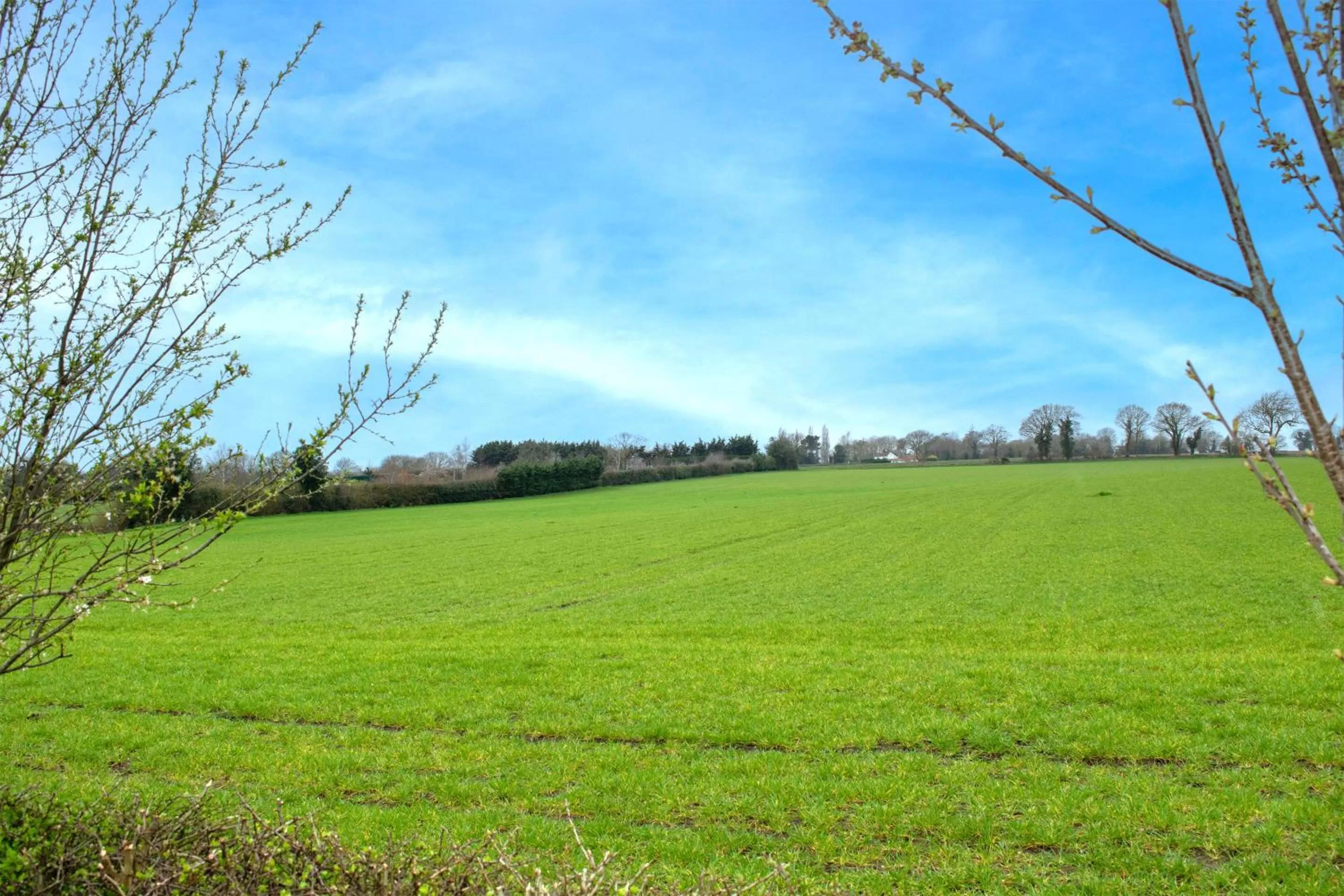 Other in Dragons Den