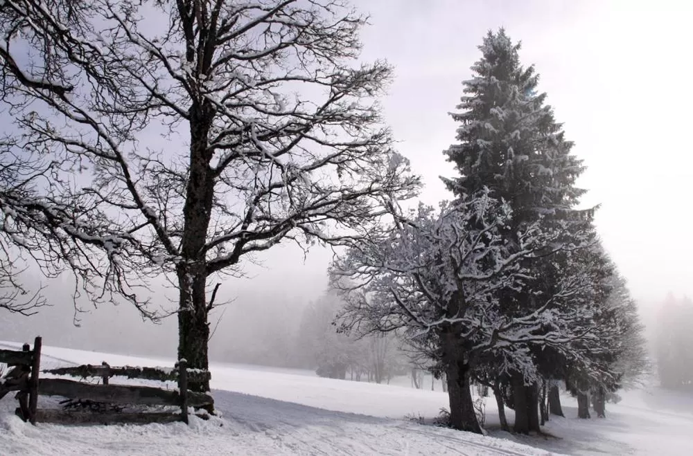 Mountain view in Bergführerhaus